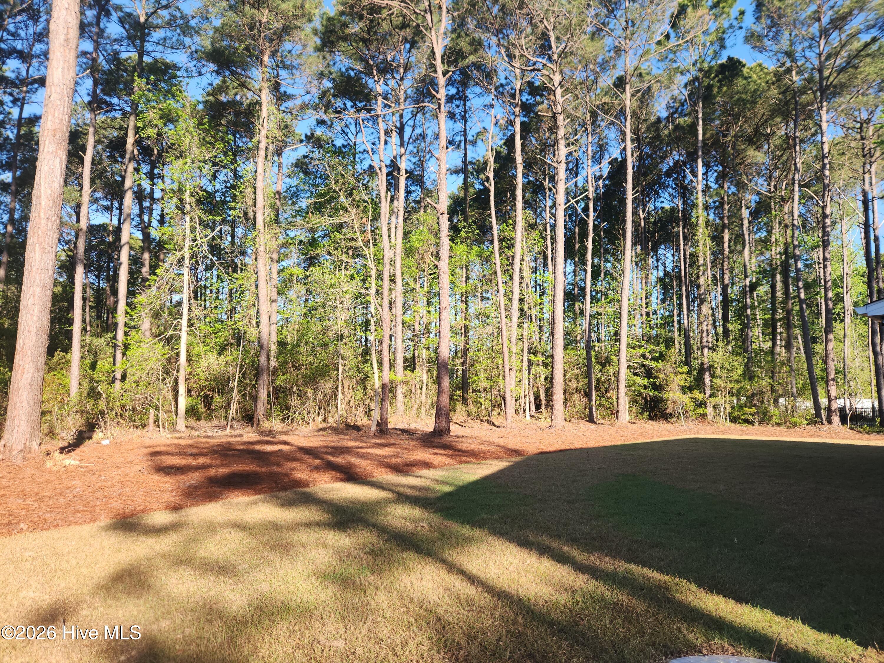 100566196 | Photo 53