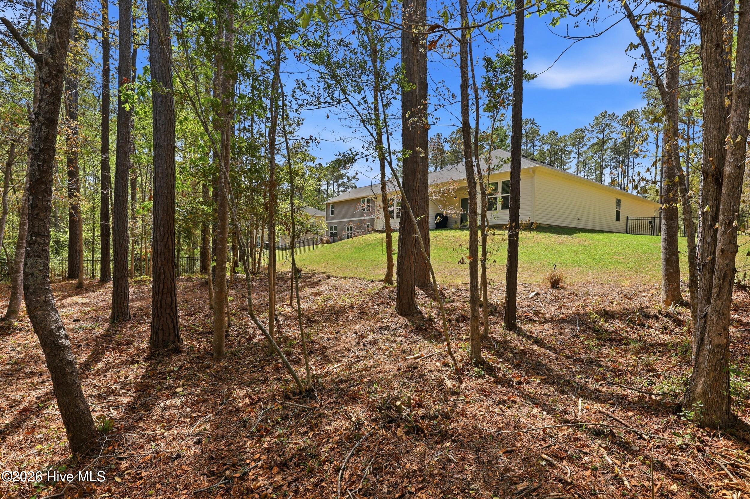 100565948 | Photo 41