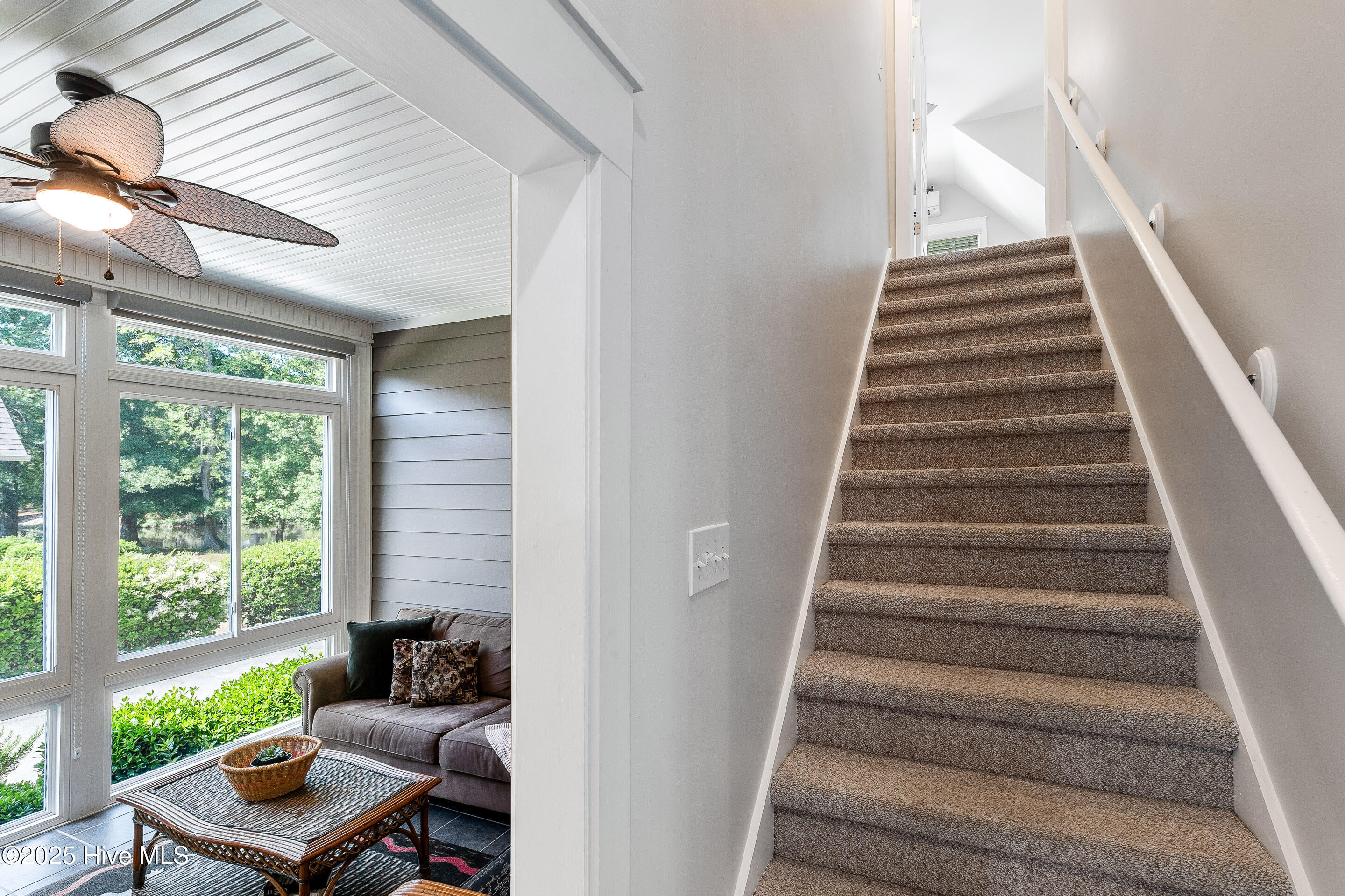 100505939 | Photo 39