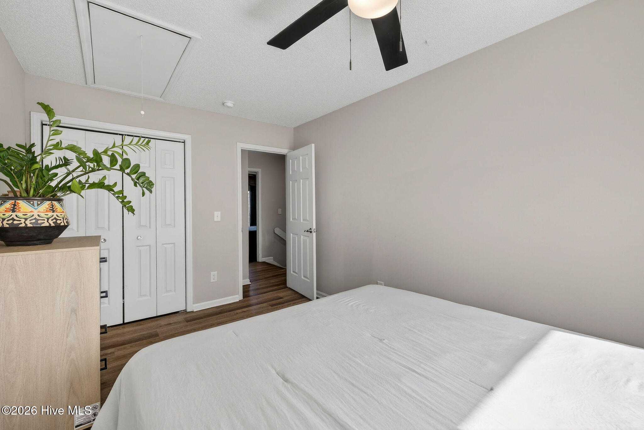 100555356 | Photo 19