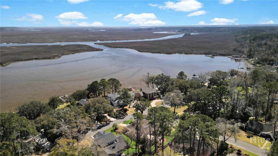 10 Cove Drive, Savannah, GA 31419 Listing Photo  59
