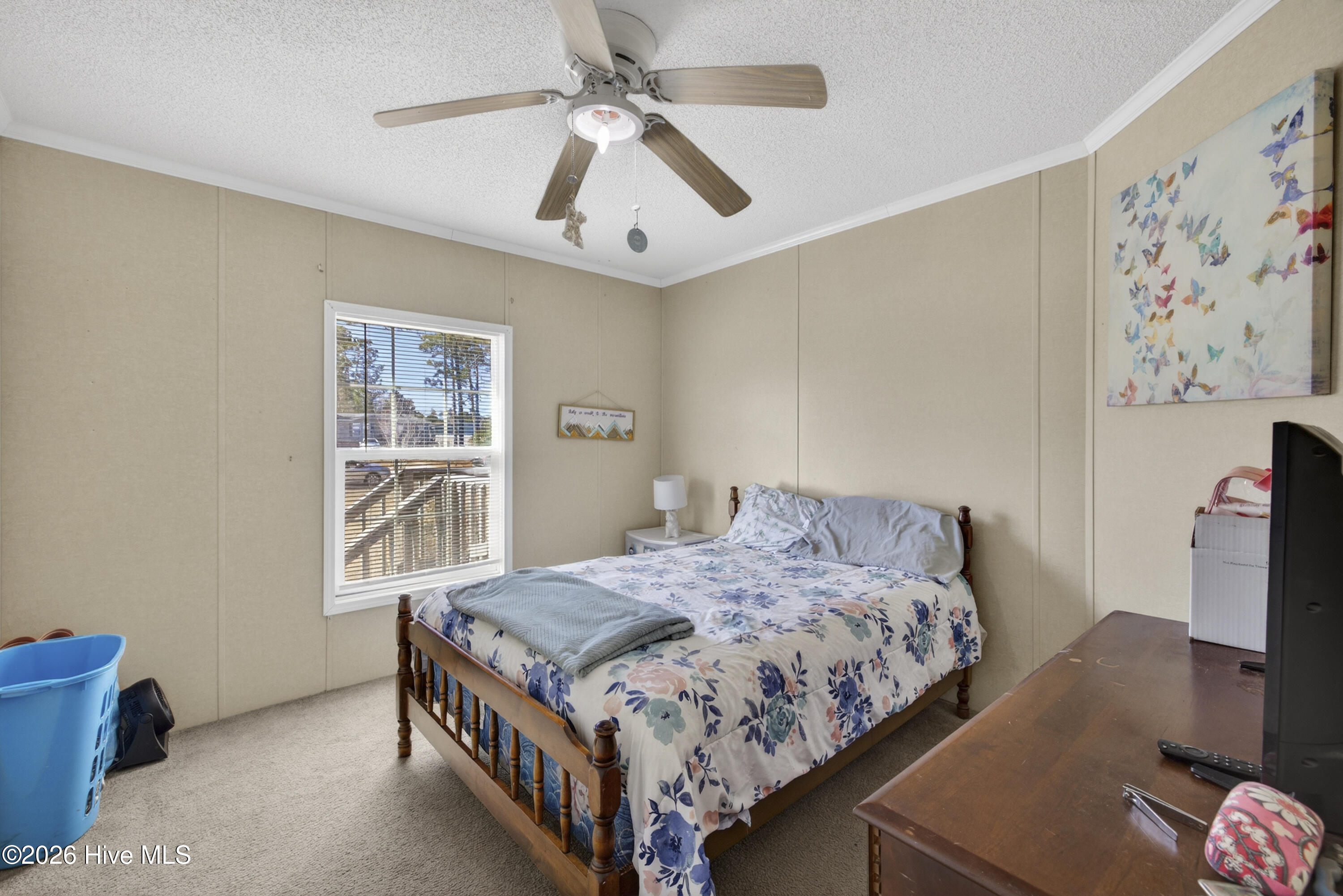 100553499 | Photo 21