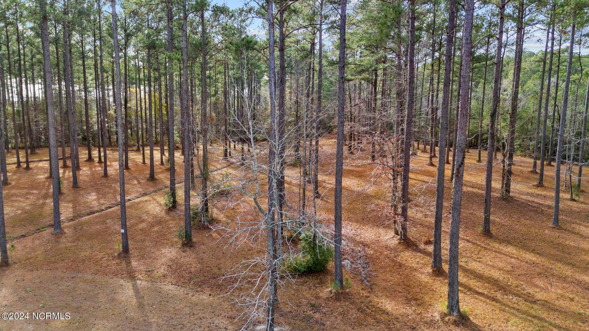 137 Lot 31 Ocracoke Drive,Oriental