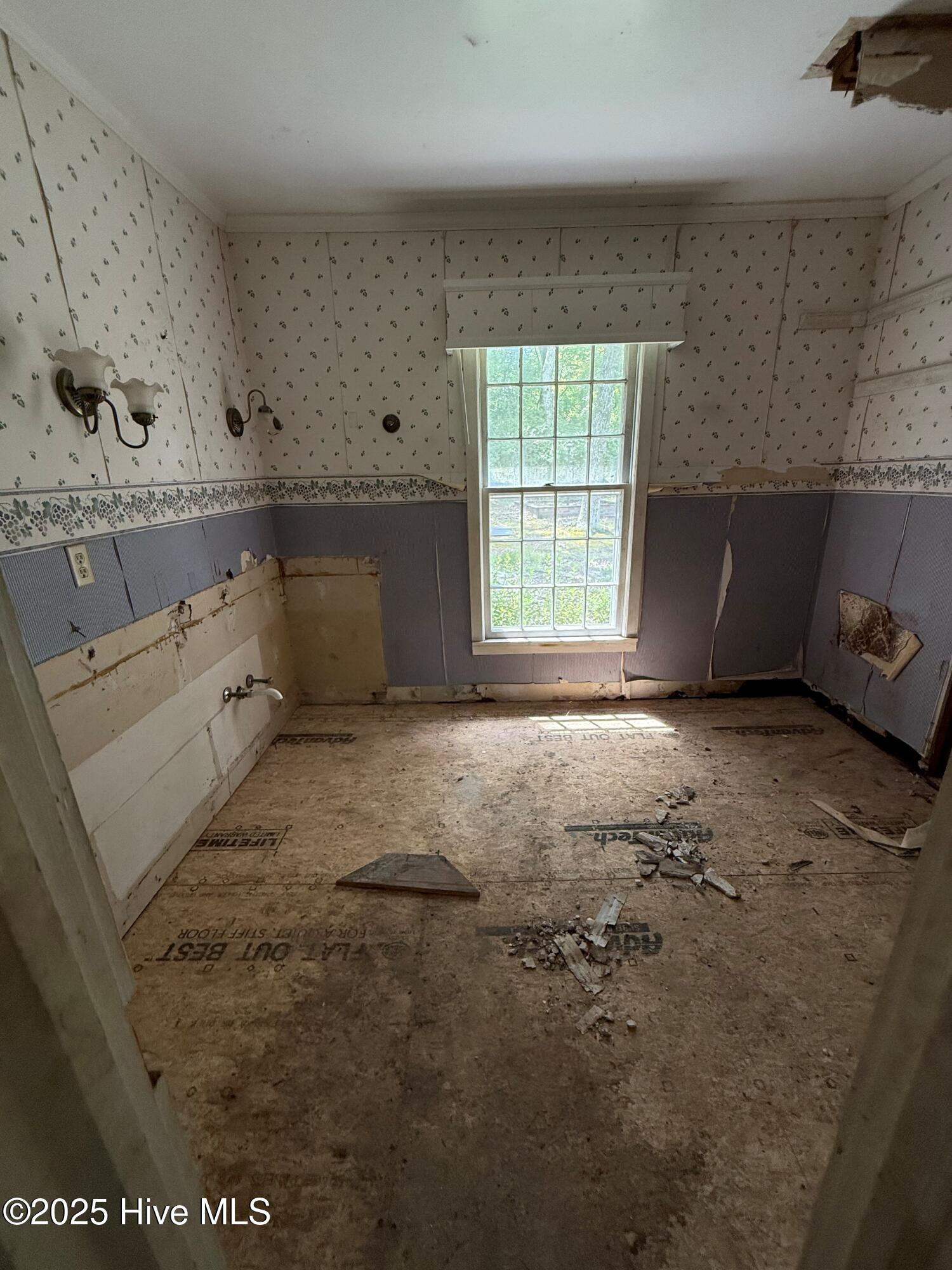 100538518 | Photo 30