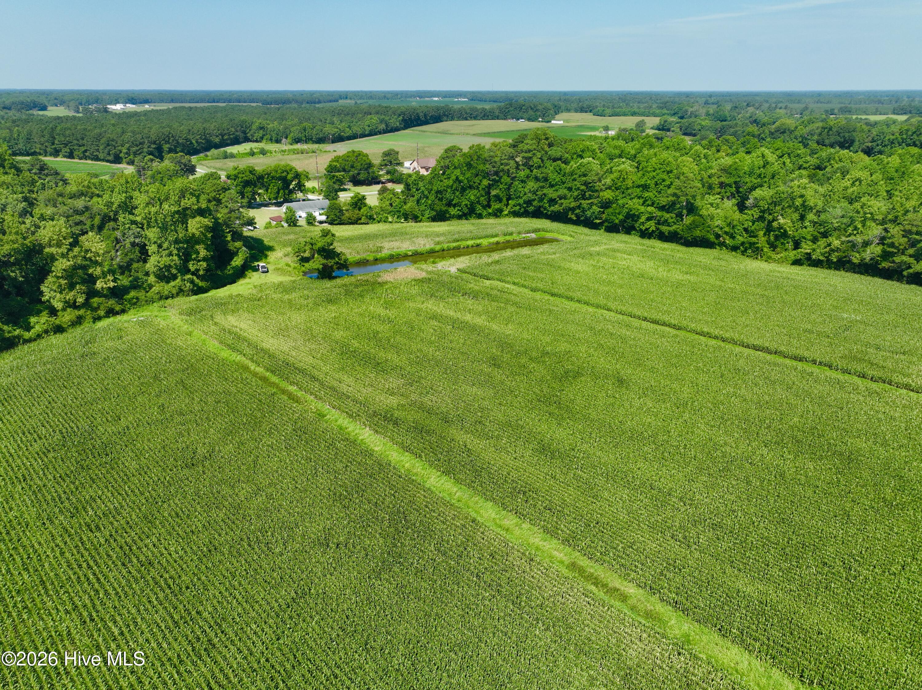 00 Cedar Fork Road,Beulaville