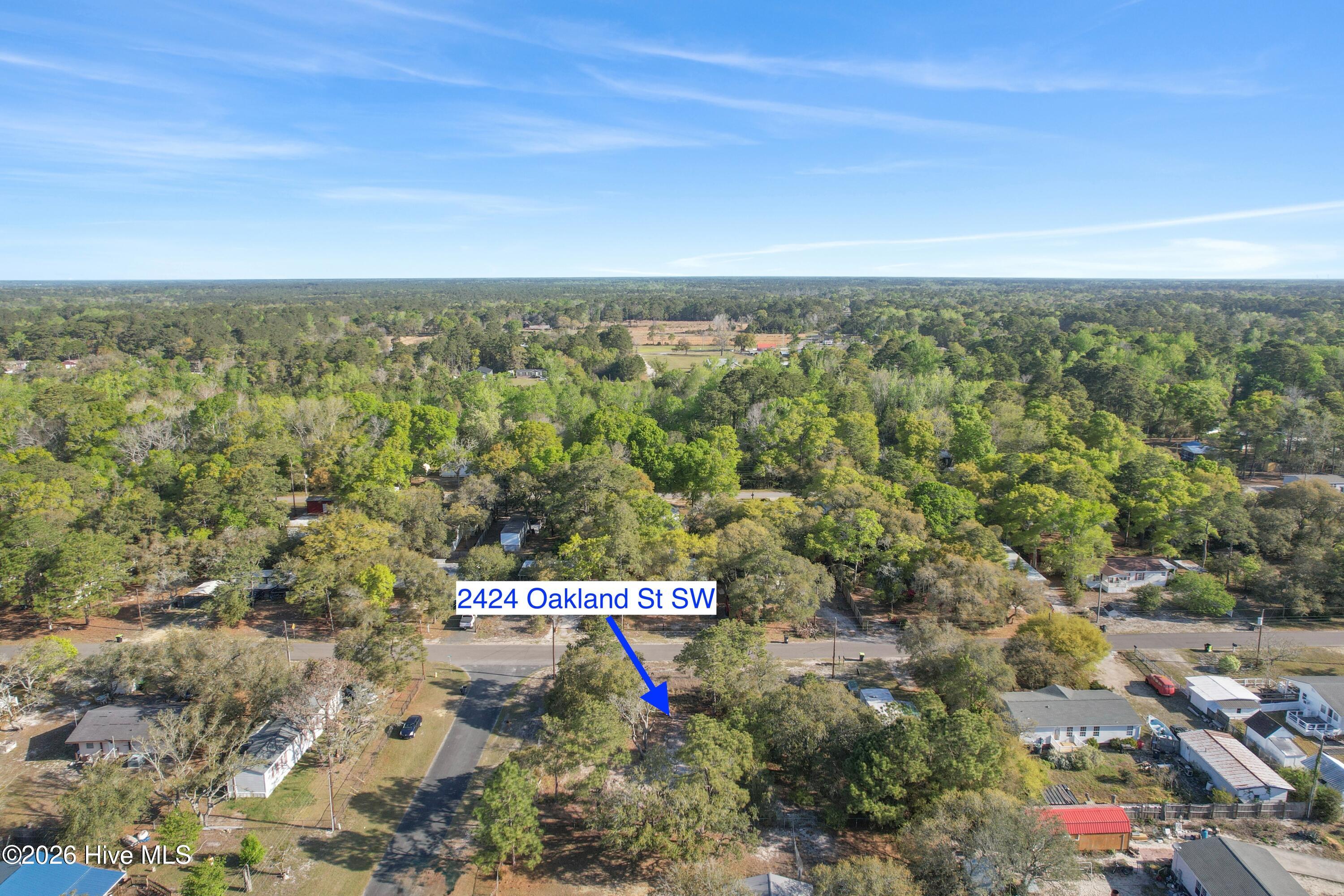 100566434 | Photo 14