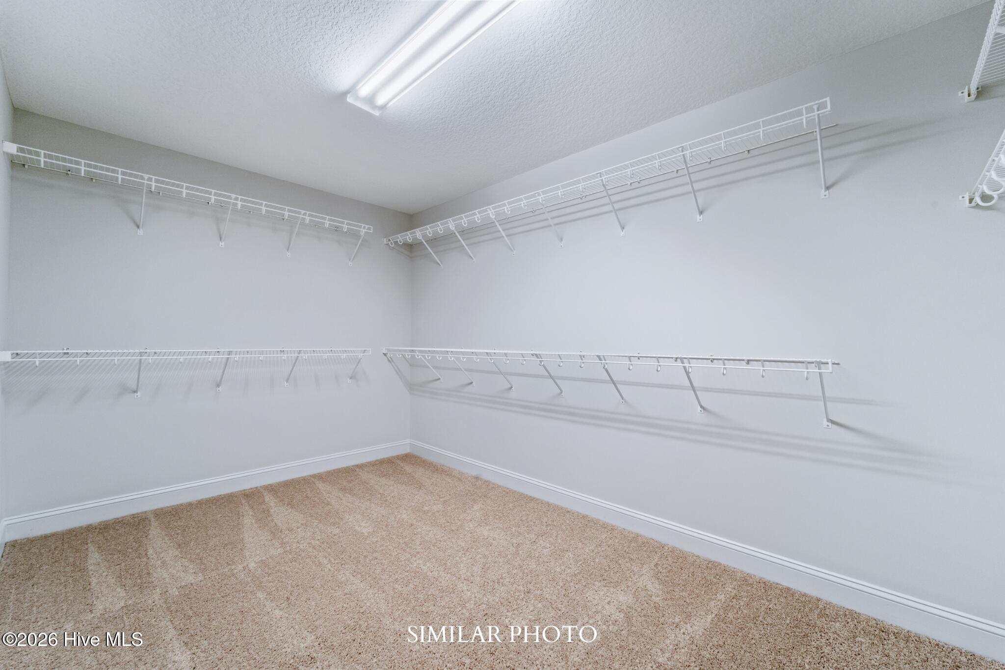 100561344 | Photo 22