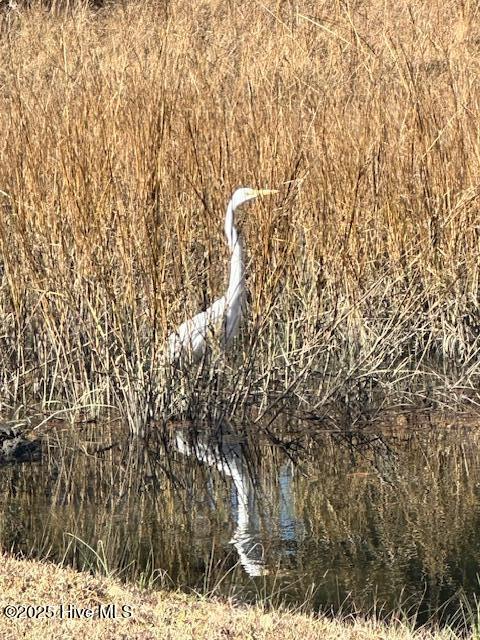 209 Shore Road, Newport, NC, 28570