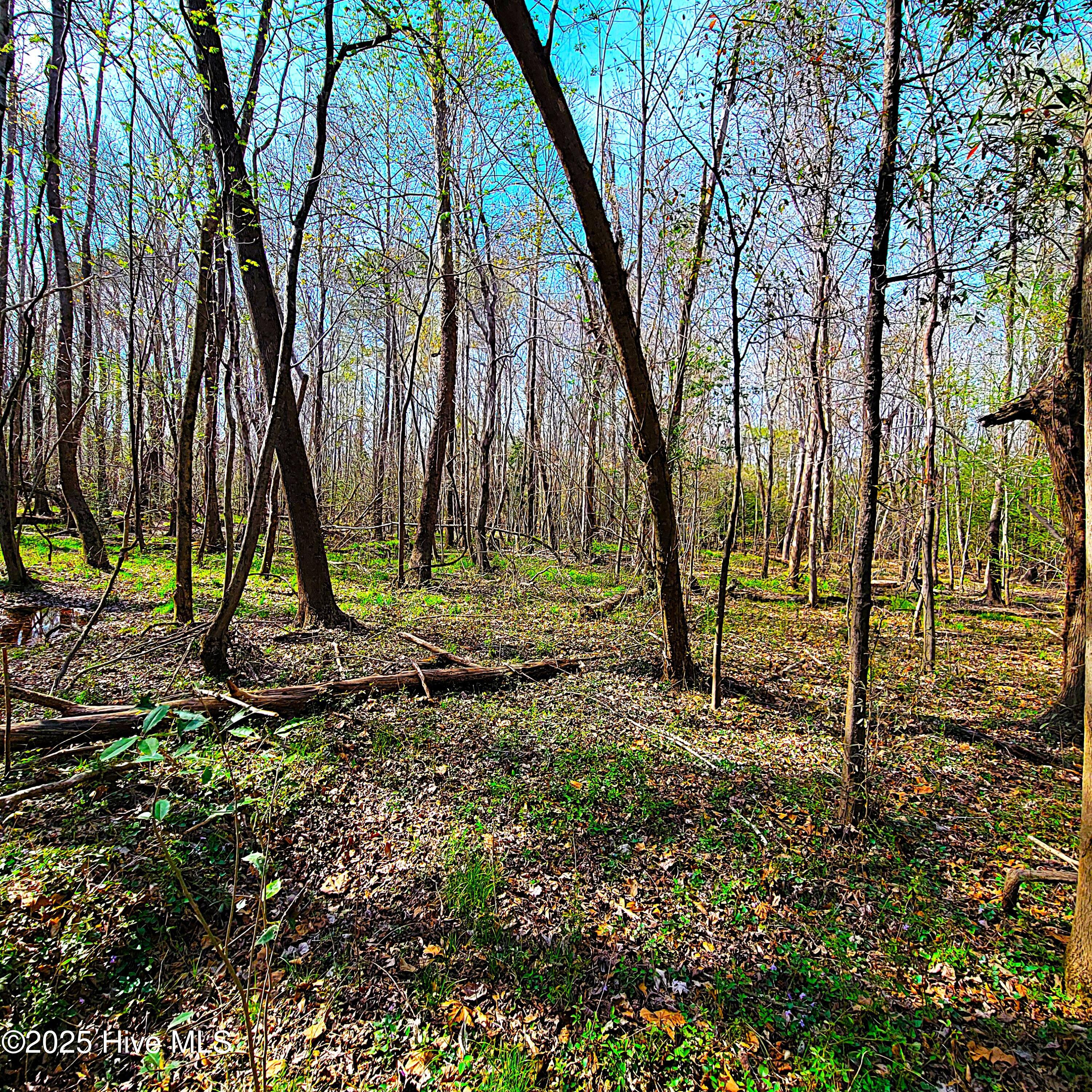 100496184 | Photo 26