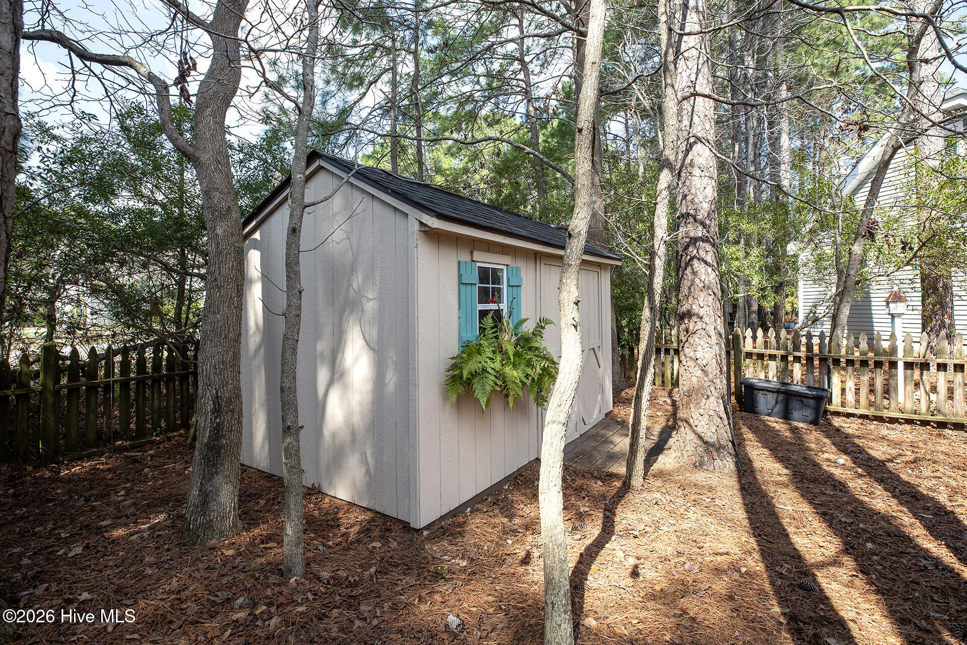 100558971 | Photo 51