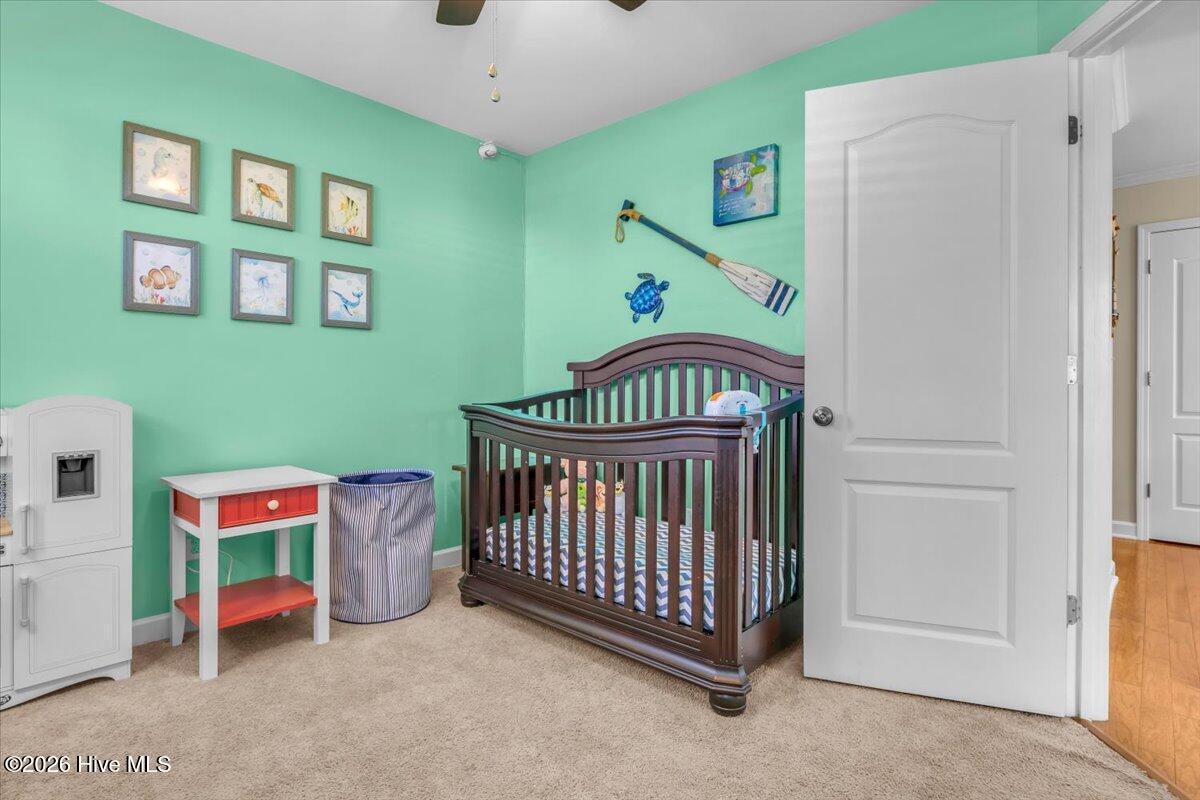 100567099 | Photo 11