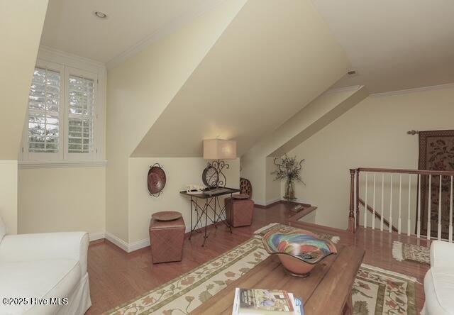 100515842 | Photo 105