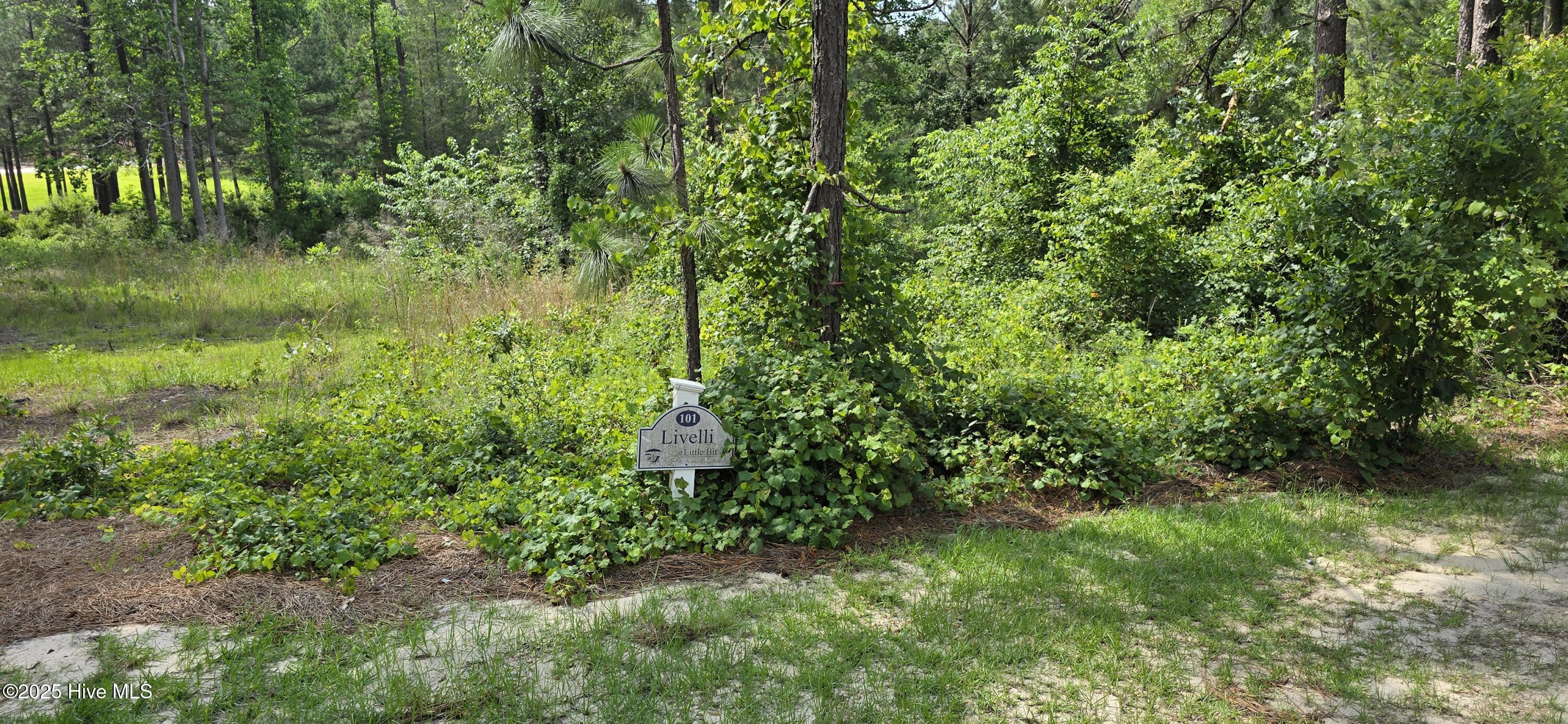 101 Owens, Seven Lakes, North Carolina, 0 ,Residential Lot,For sale,Owens,100580261 101 Owens, Seven Lakes, North Carolina, 0 ,Residential Lot,For sale,Owens,100580261