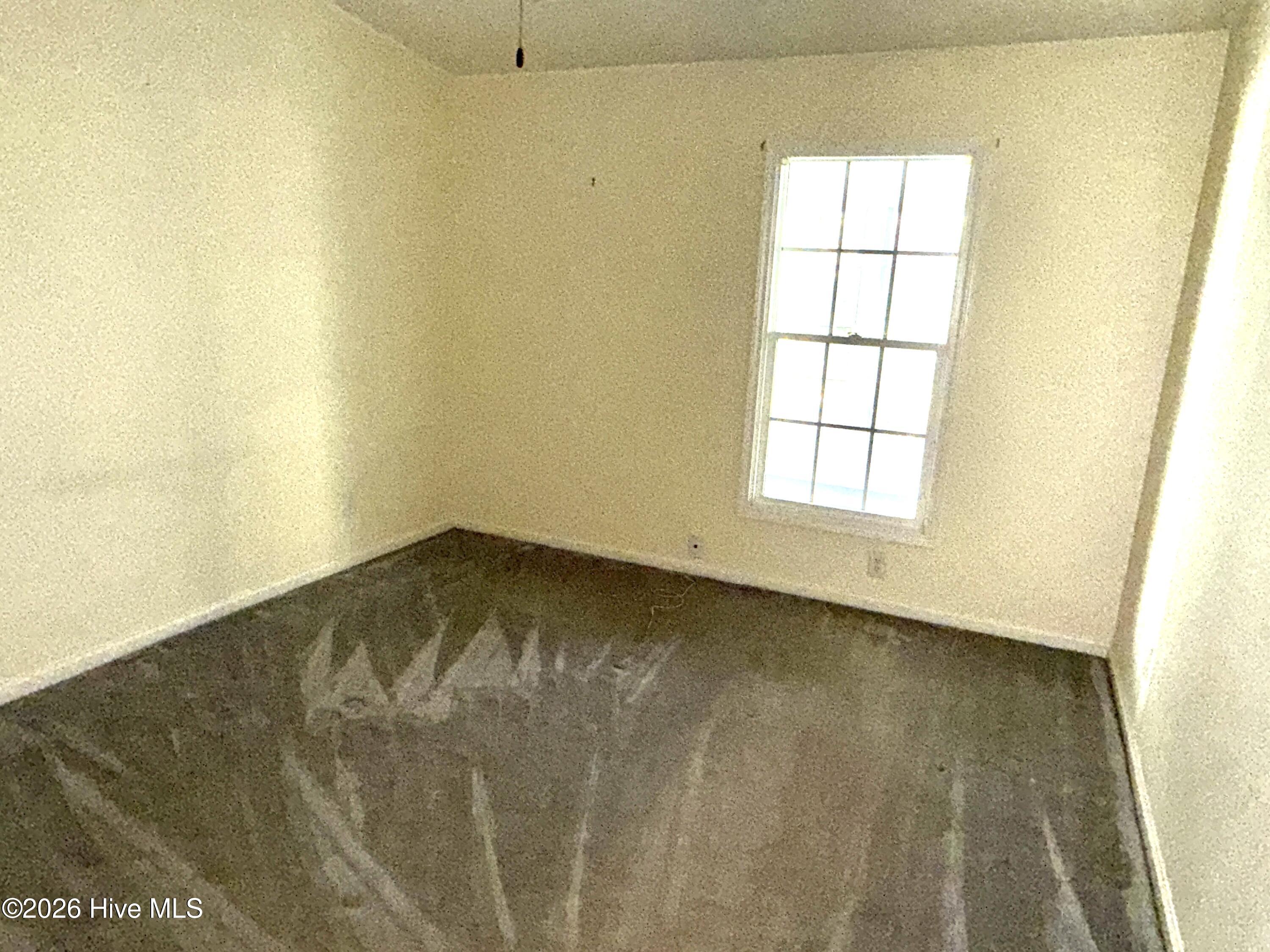 100556318 | Photo 14