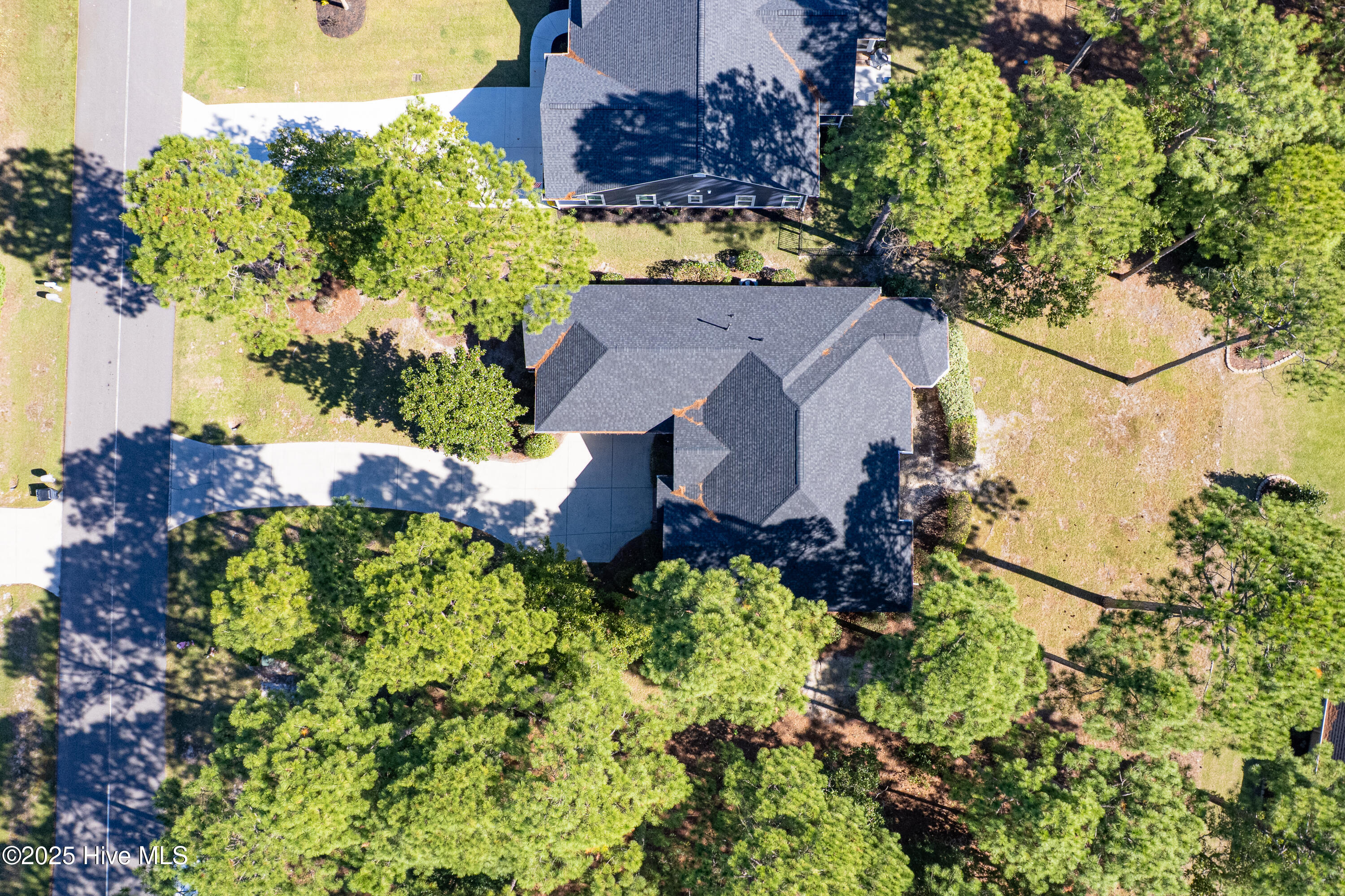 100537931 | Photo 39