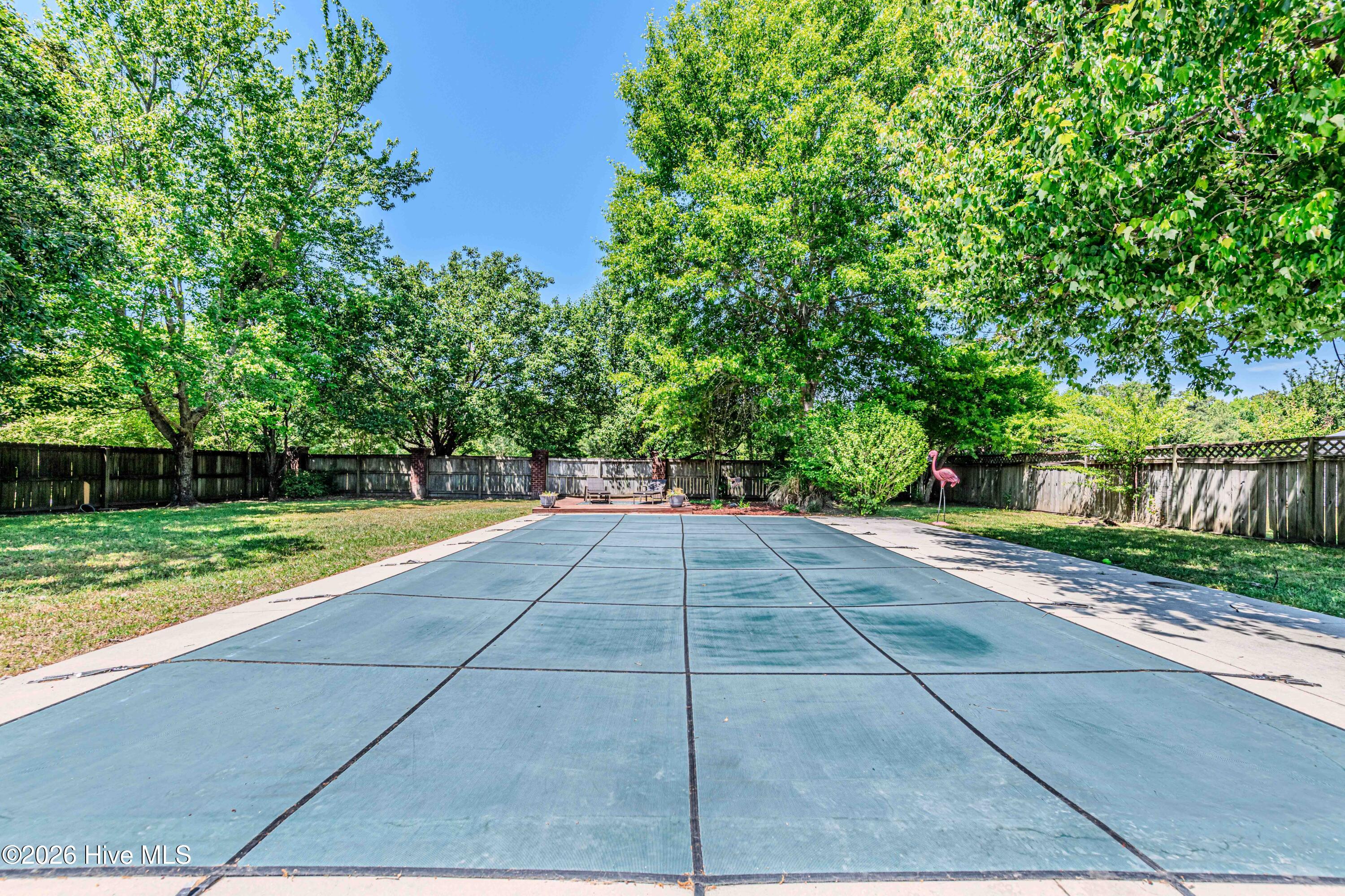 100569182 | Photo 54