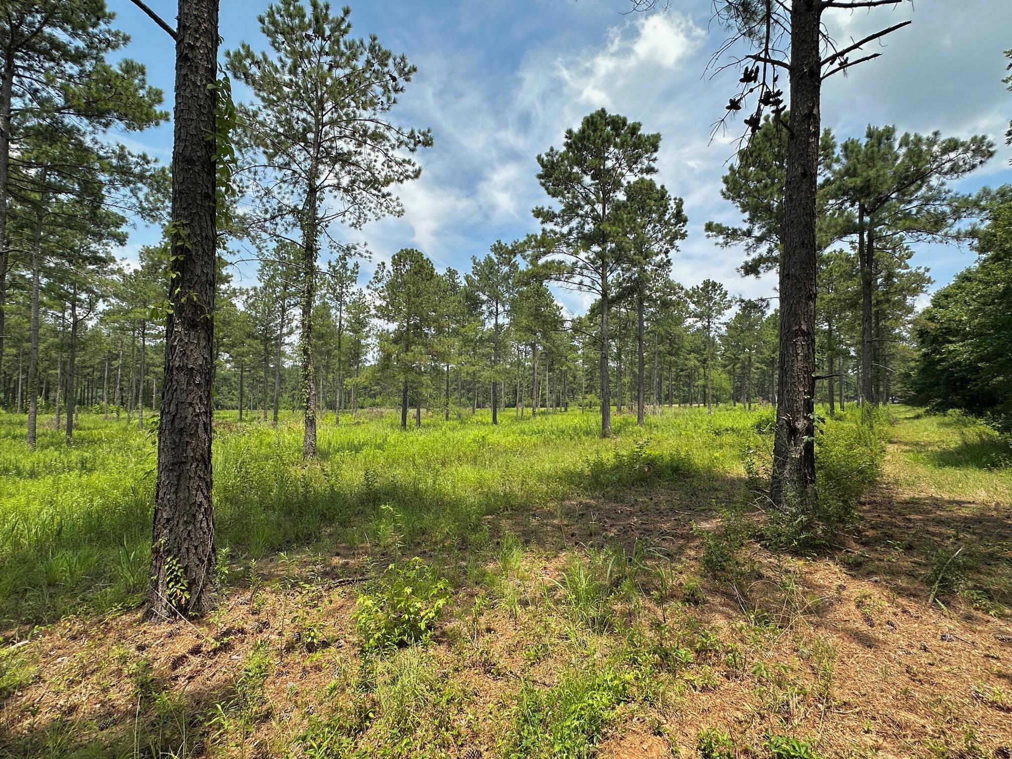 0 Chappel Road, Waynesboro, GA, 30830