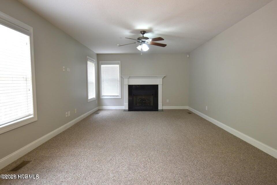 100558336 | Photo 10