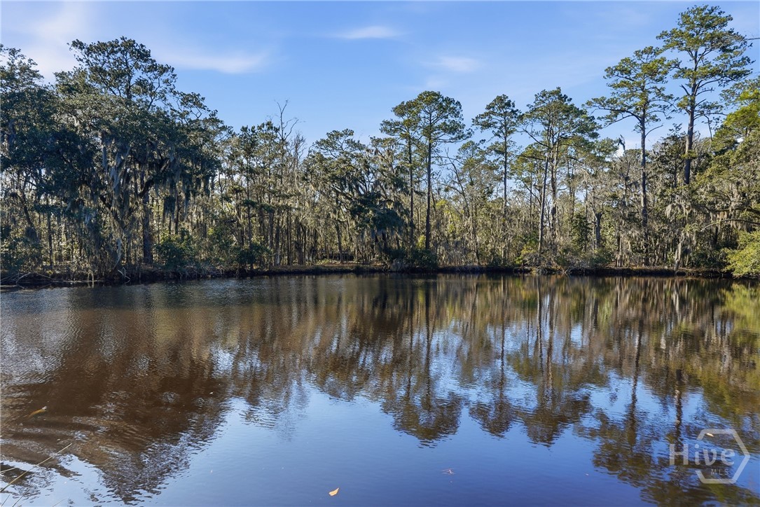 501 Wau Bun Drive, Savannah, GA, 31419