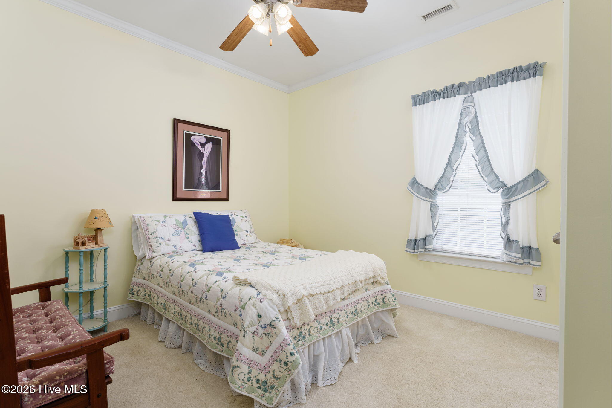 100564241 | Photo 26