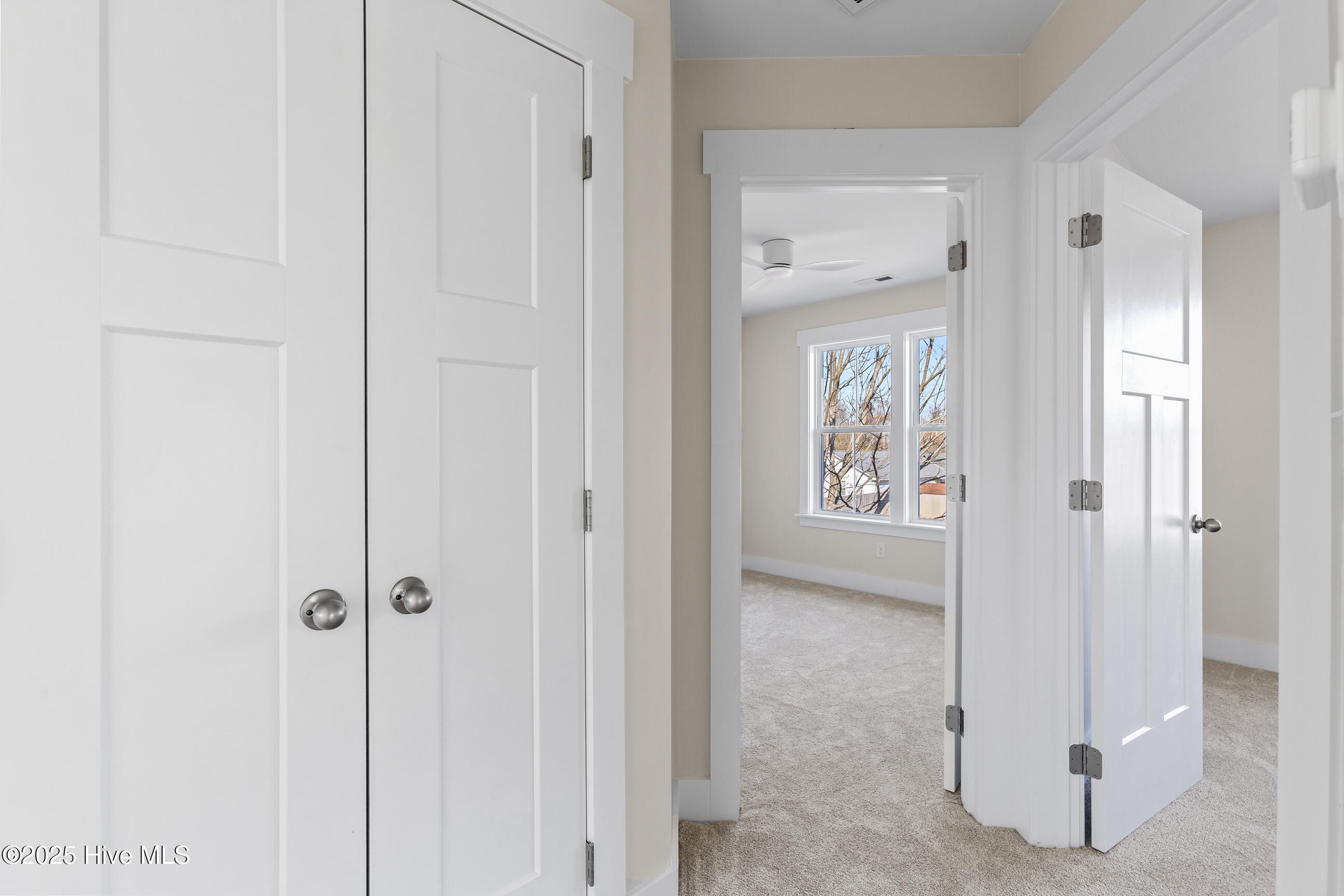 100546129 | Photo 19