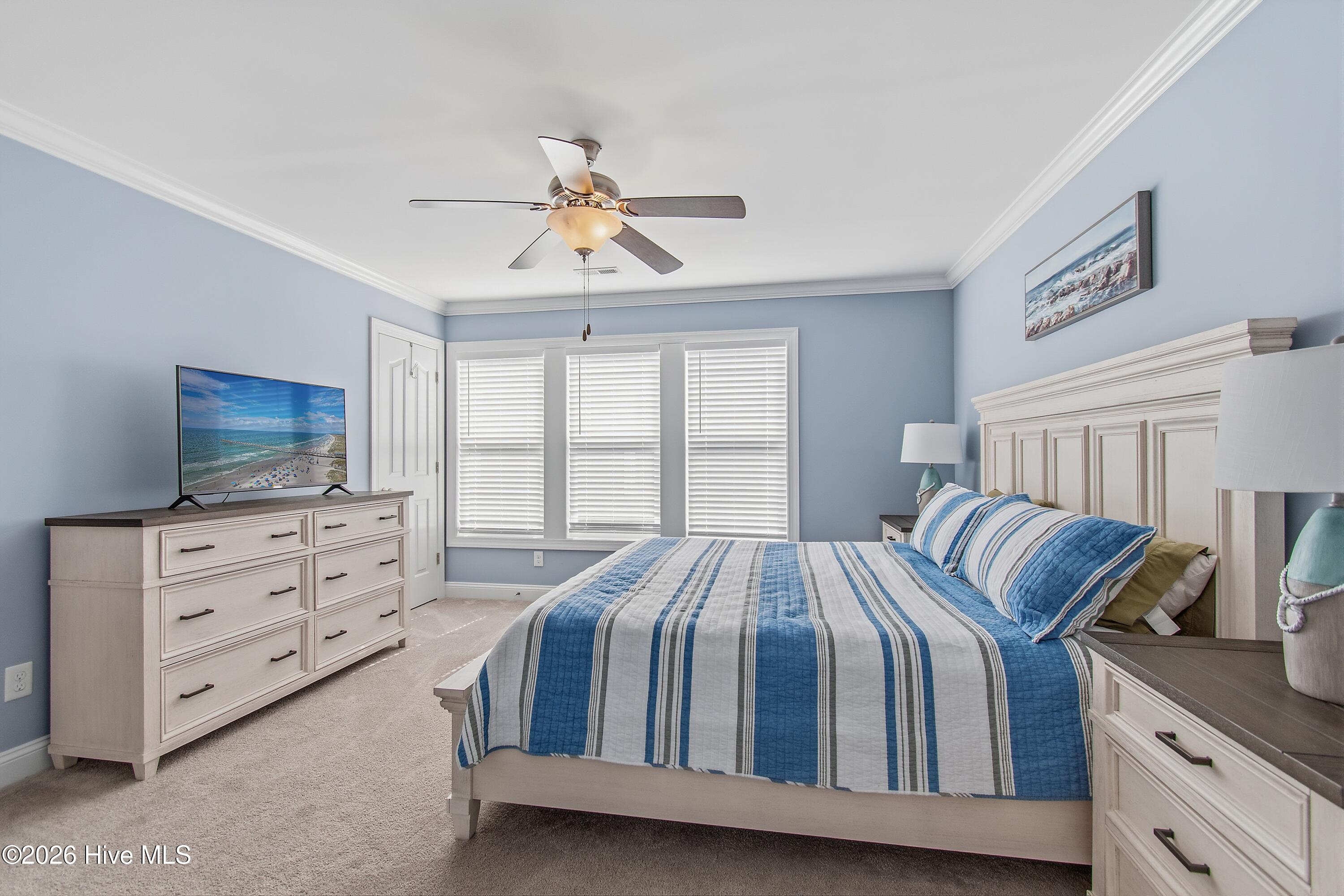 100563777 | Photo 30