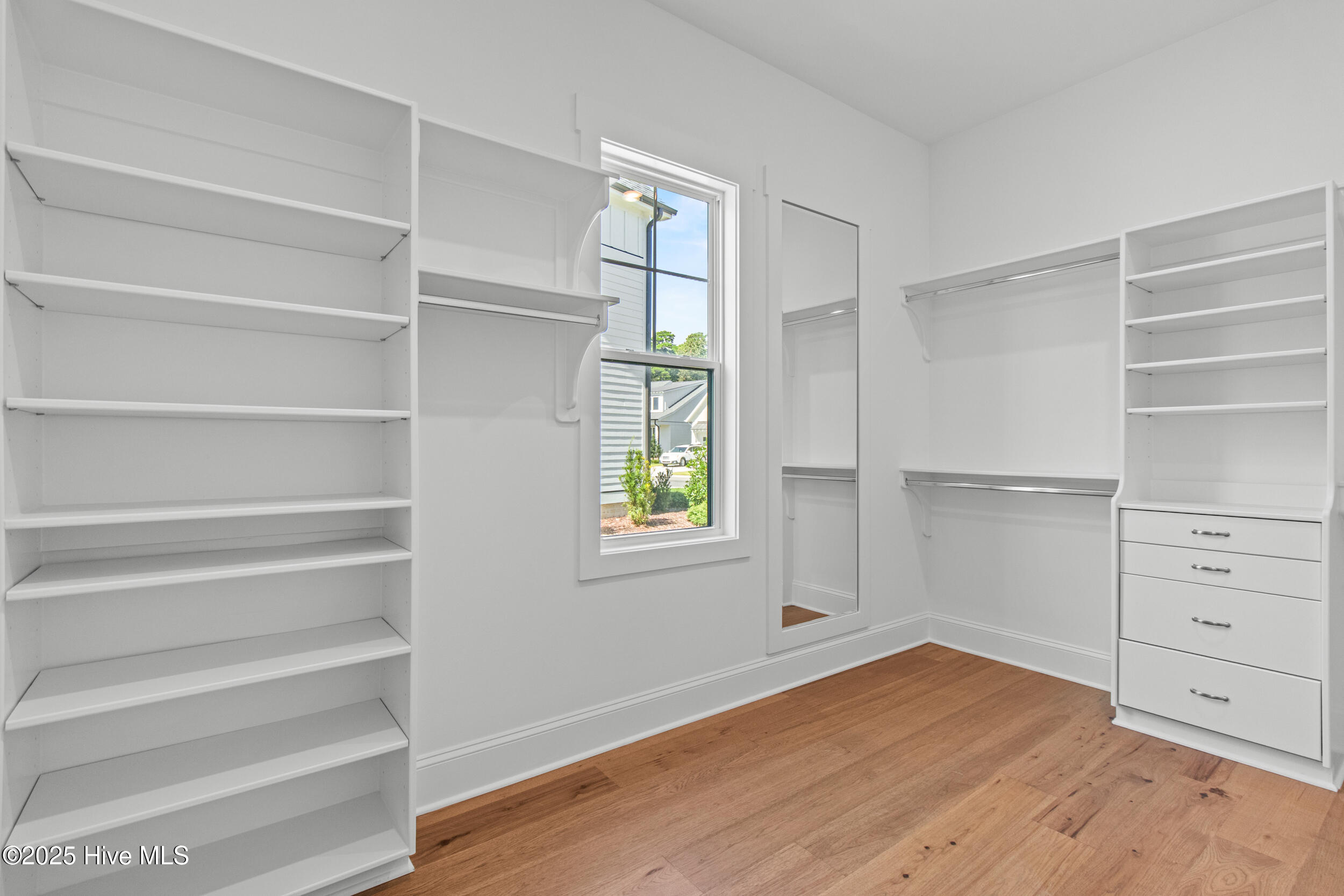 Primary closet with built-ins