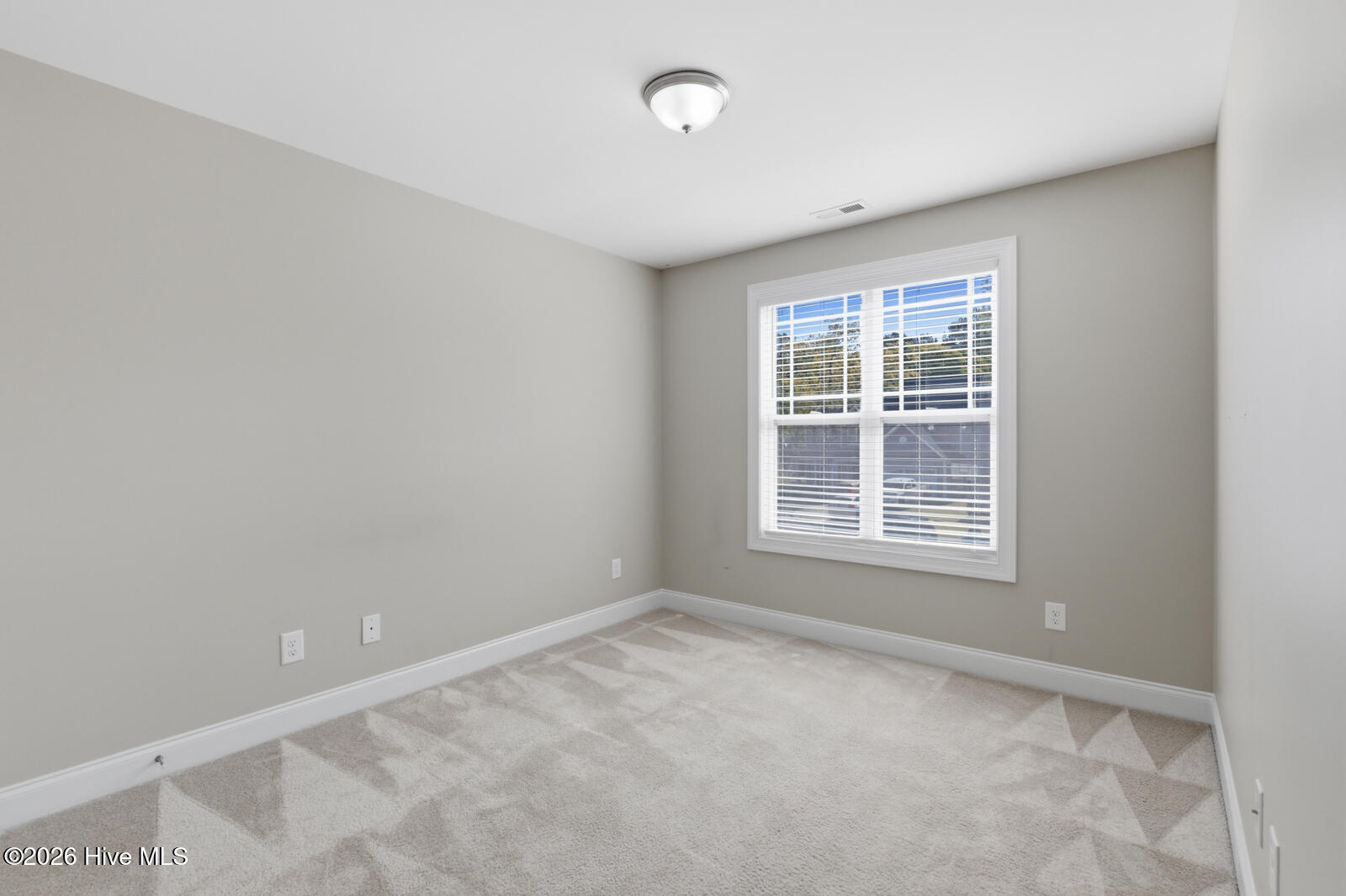 100563645 | Photo 19