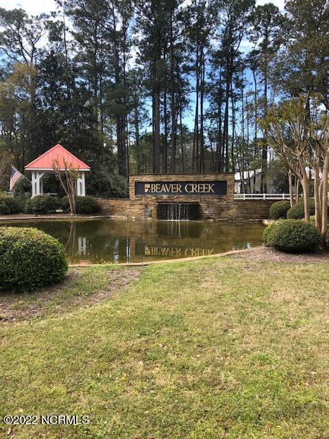 100316289 | Photo 12