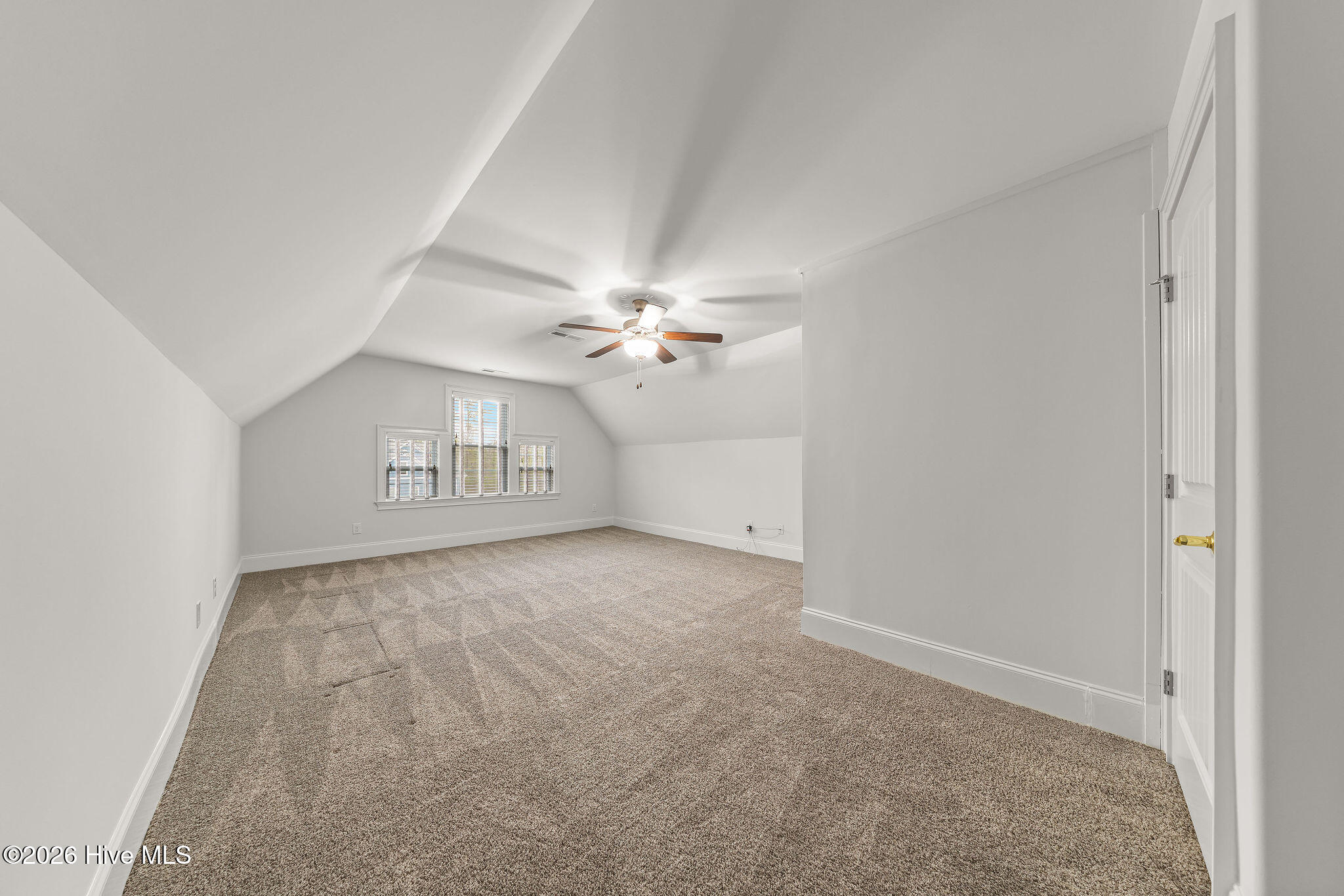 100554356 | Photo 48