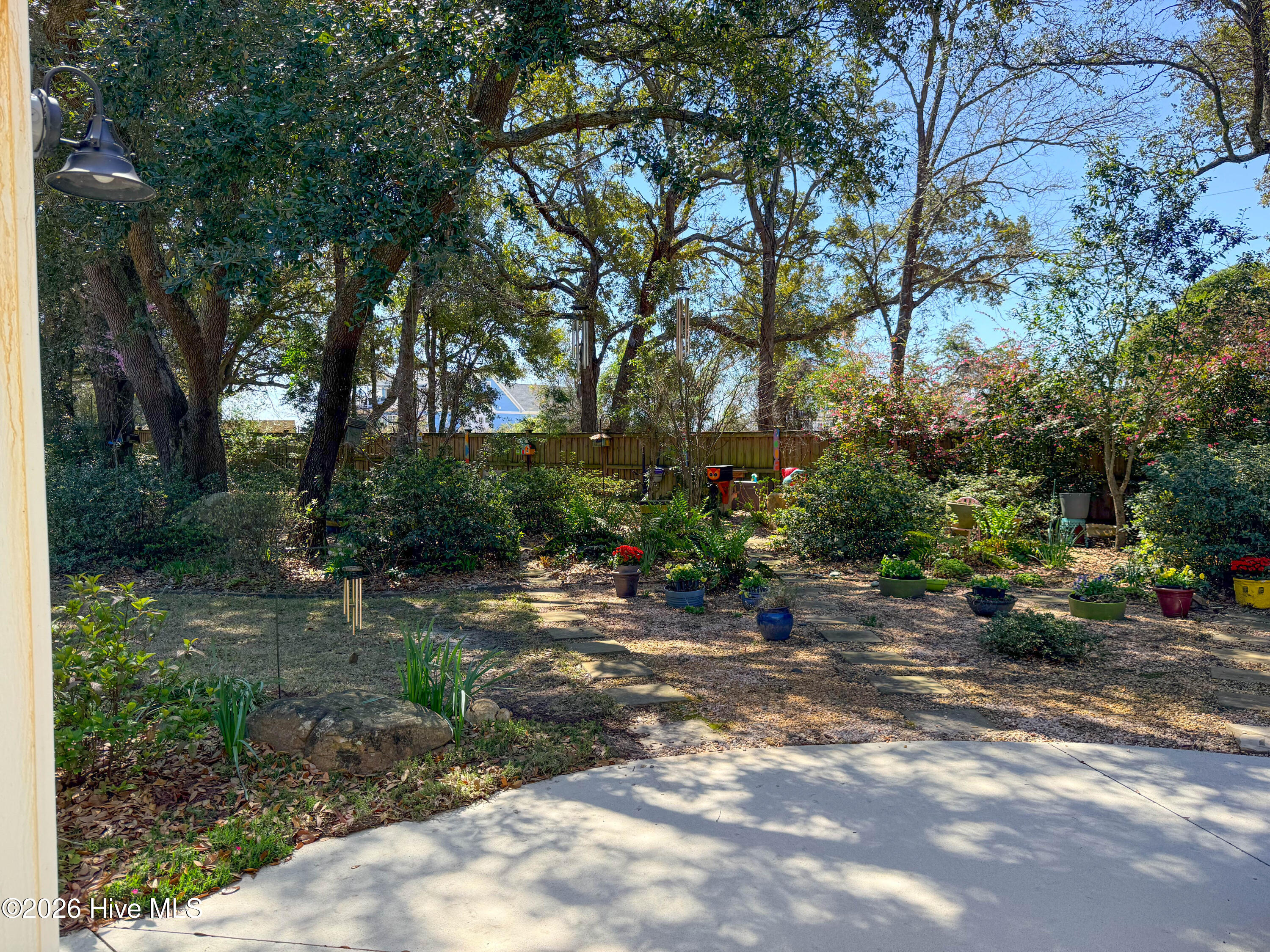 100559025 | Photo 61