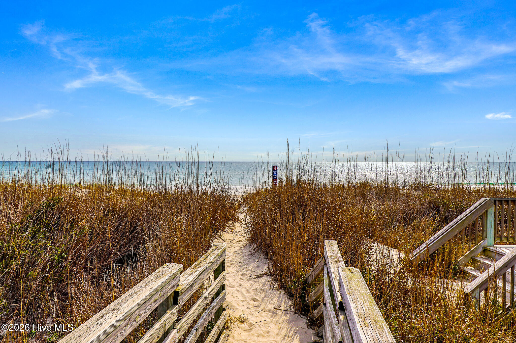 100553851 | Photo 12