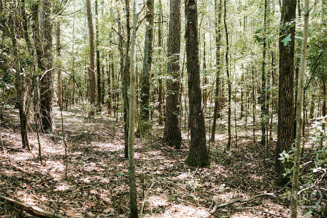 Homes for sale in Lexington, GA | 0 Lexington Carlton Rd, Lexington, GA 30648 | MLS# CL360603