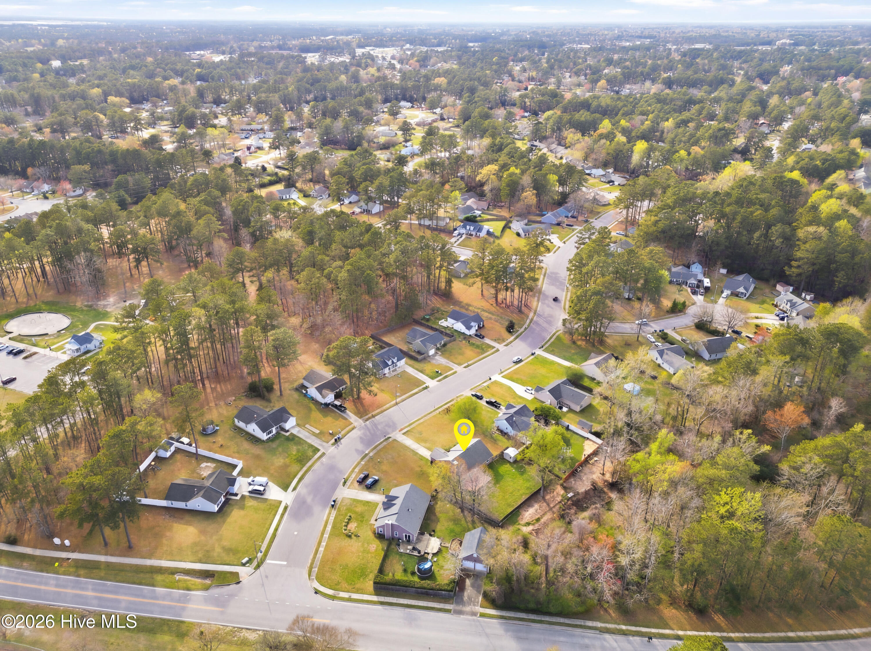 100561176 | Photo 51