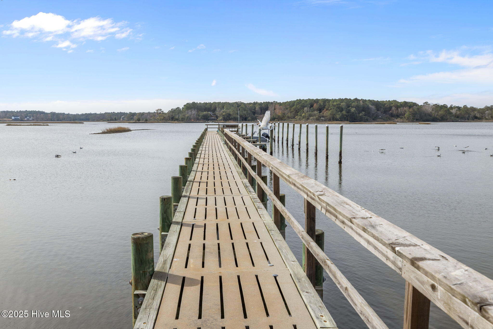 100544125 | Photo 43