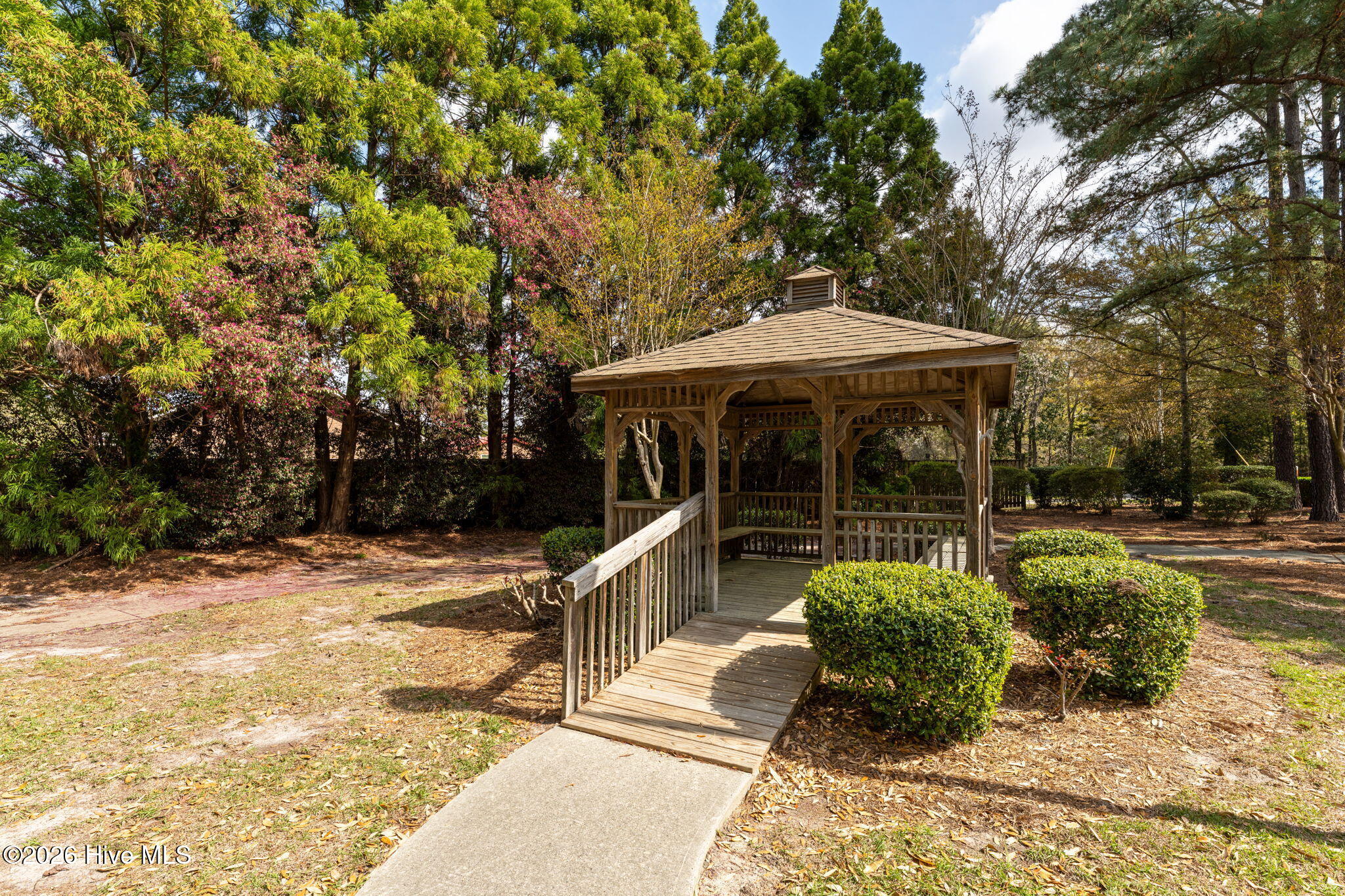 100563098 | Photo 35