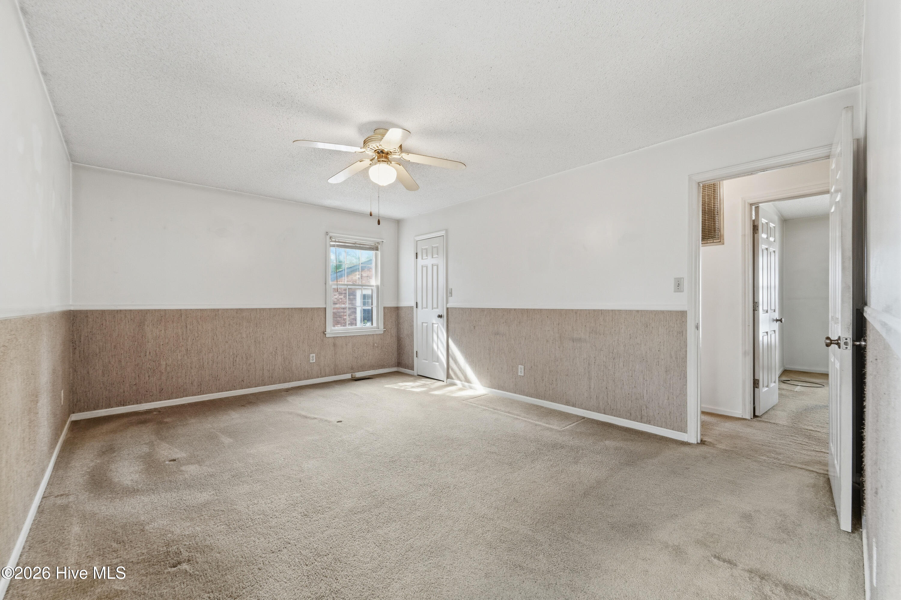 100563491 | Photo 19