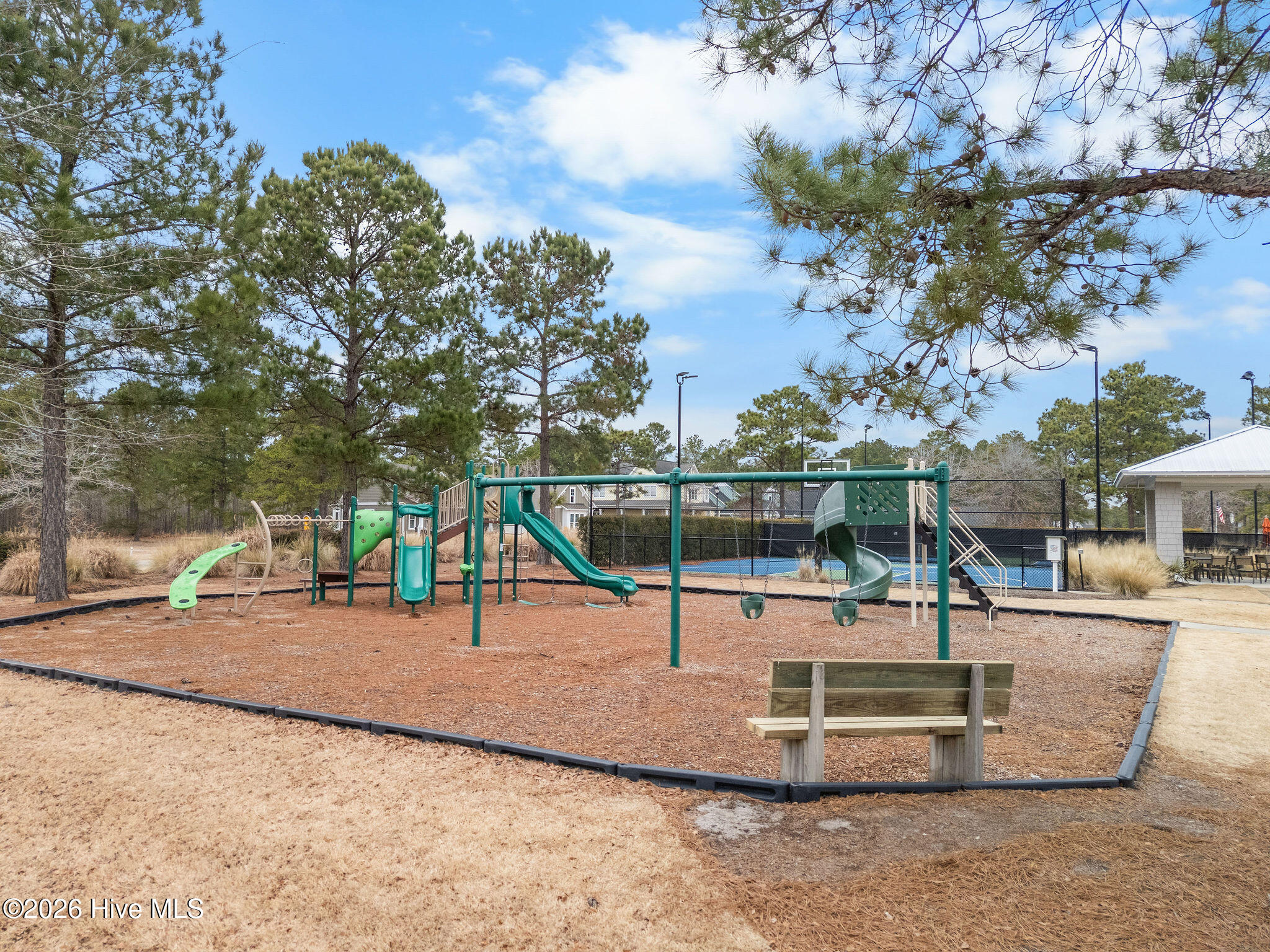 100554356 | Photo 67