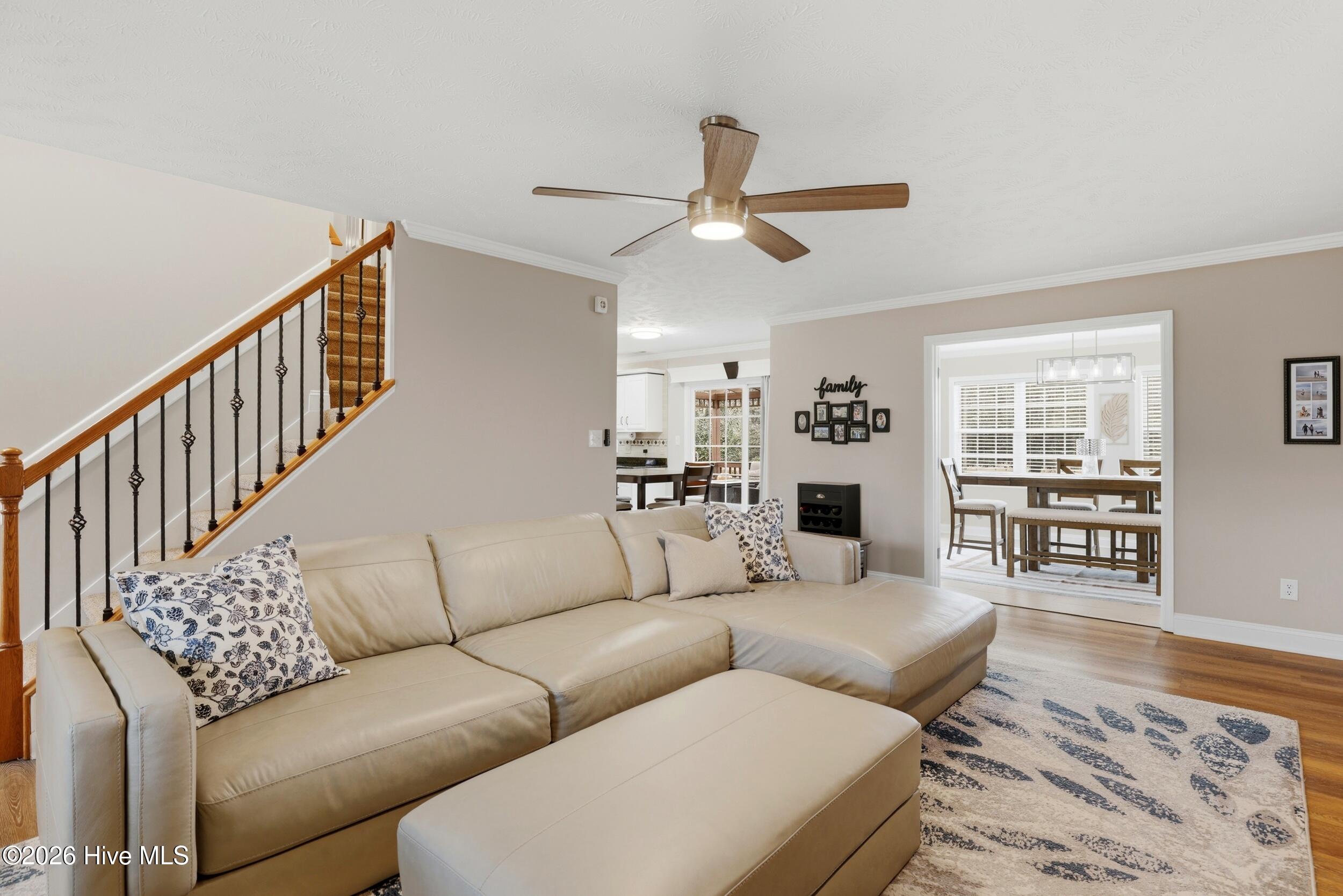 100558119 | Photo 10