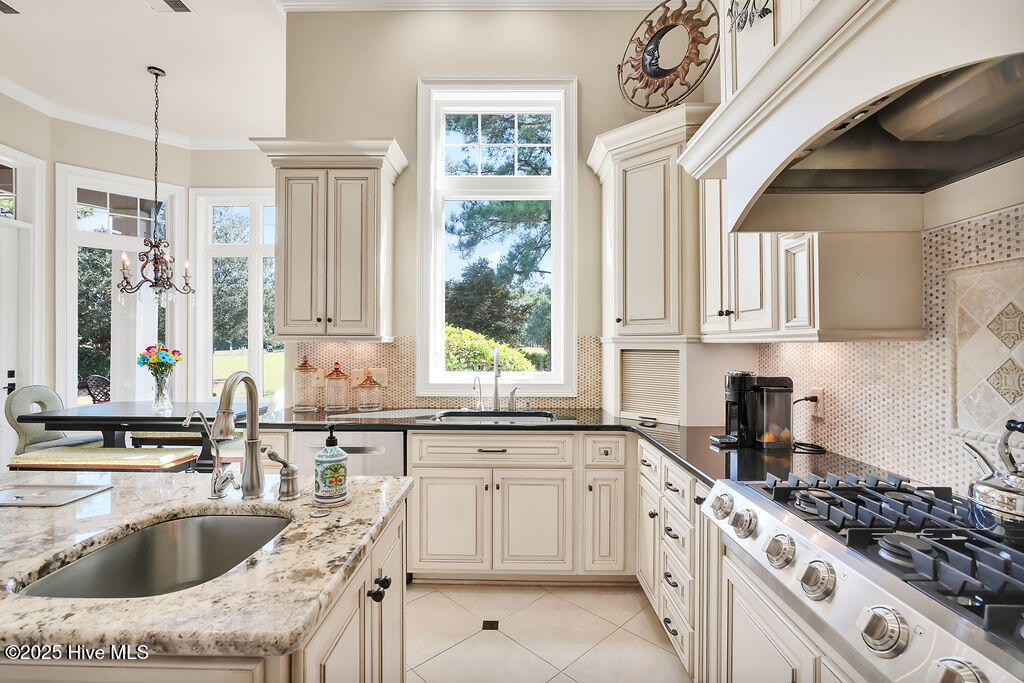 100535984 | Photo 18