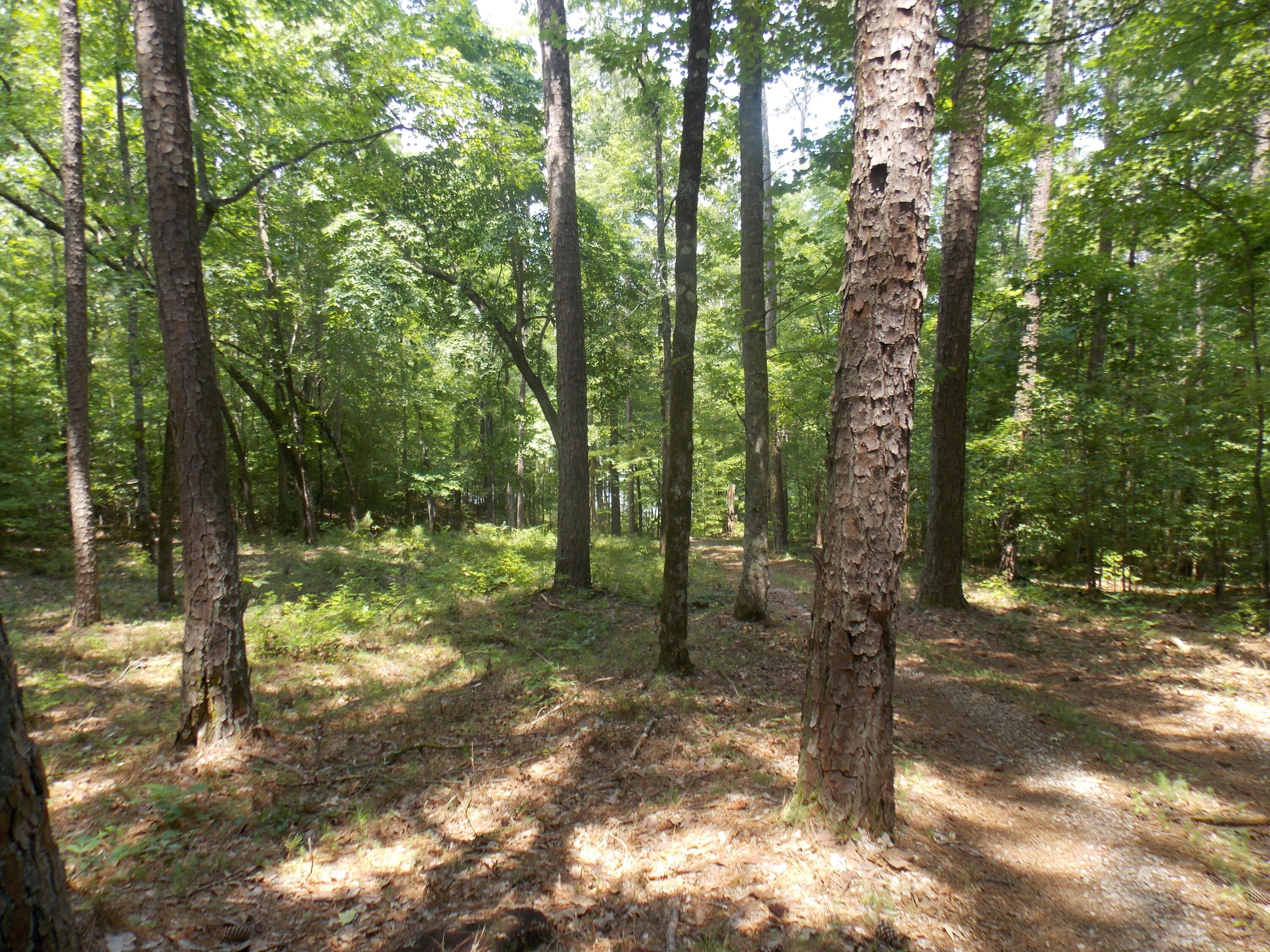 25 Fishing Creek, Lincolnton, GA 30817 Listing Photo  1
