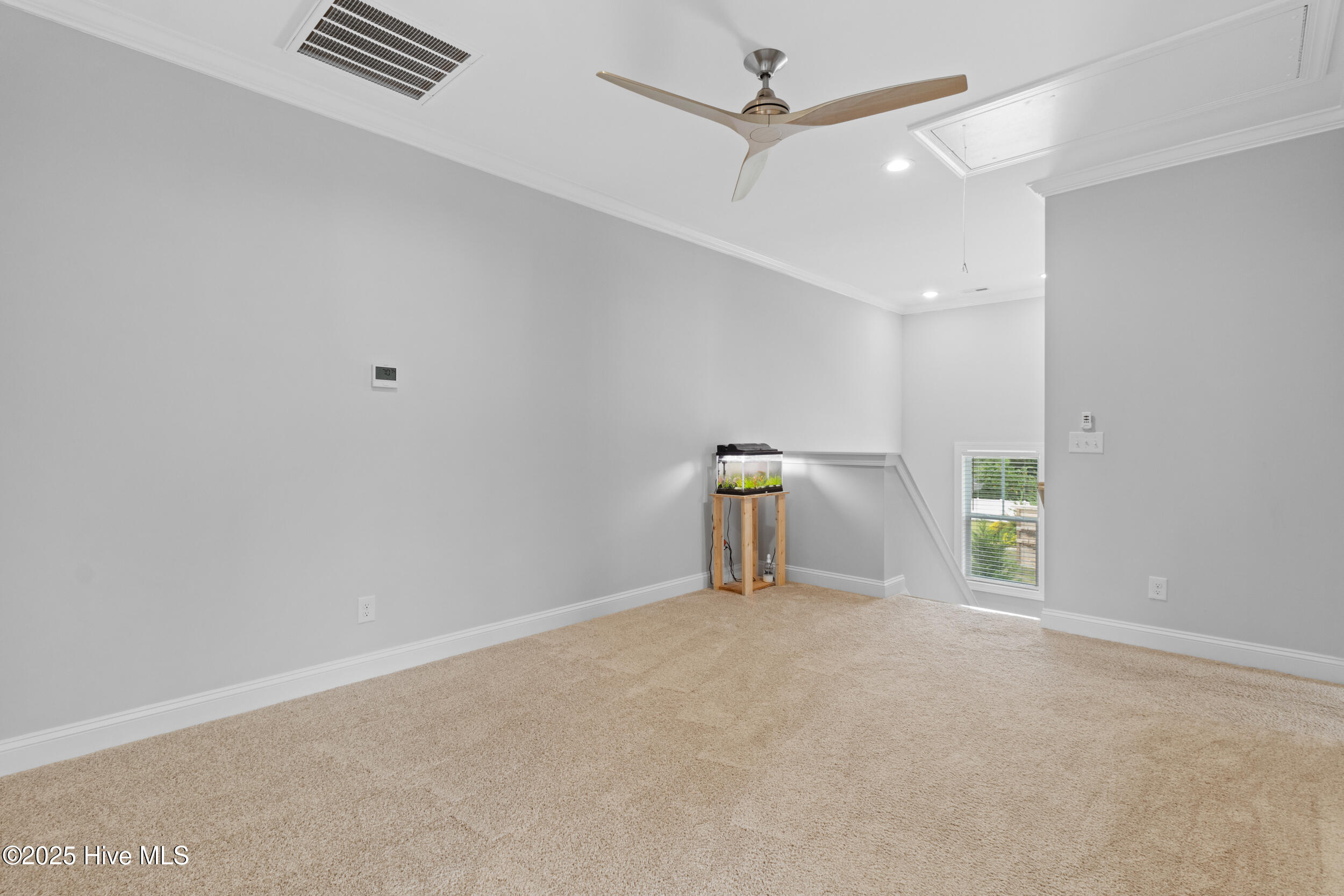 100536261 | Photo 24