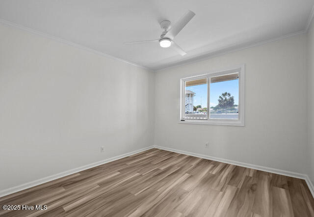 100549985 | Photo 13