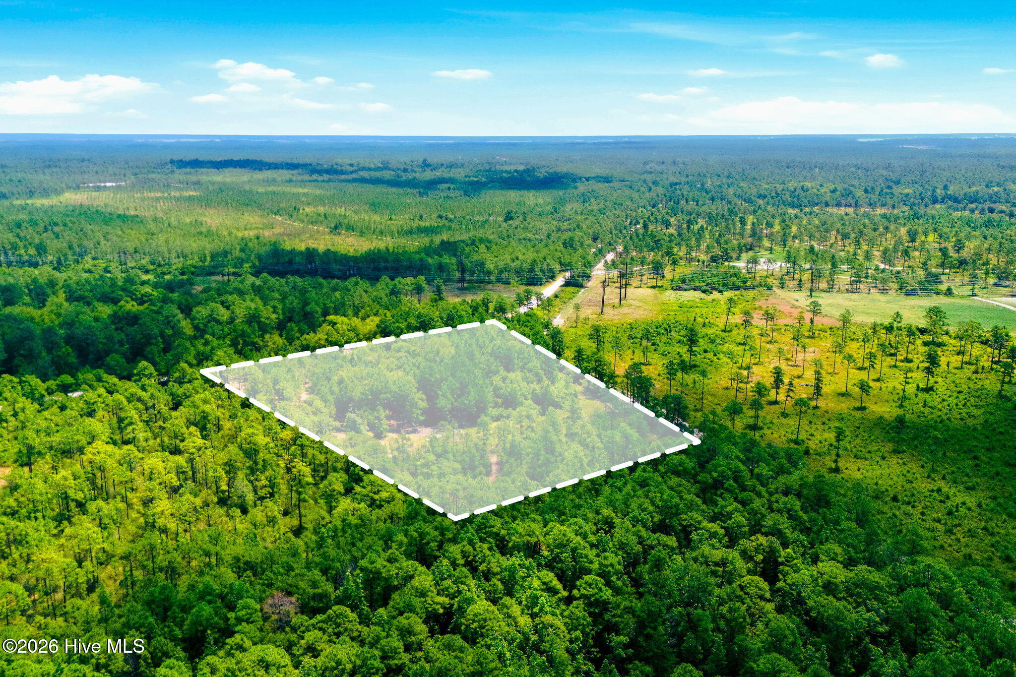 100588993 | Photo 12
