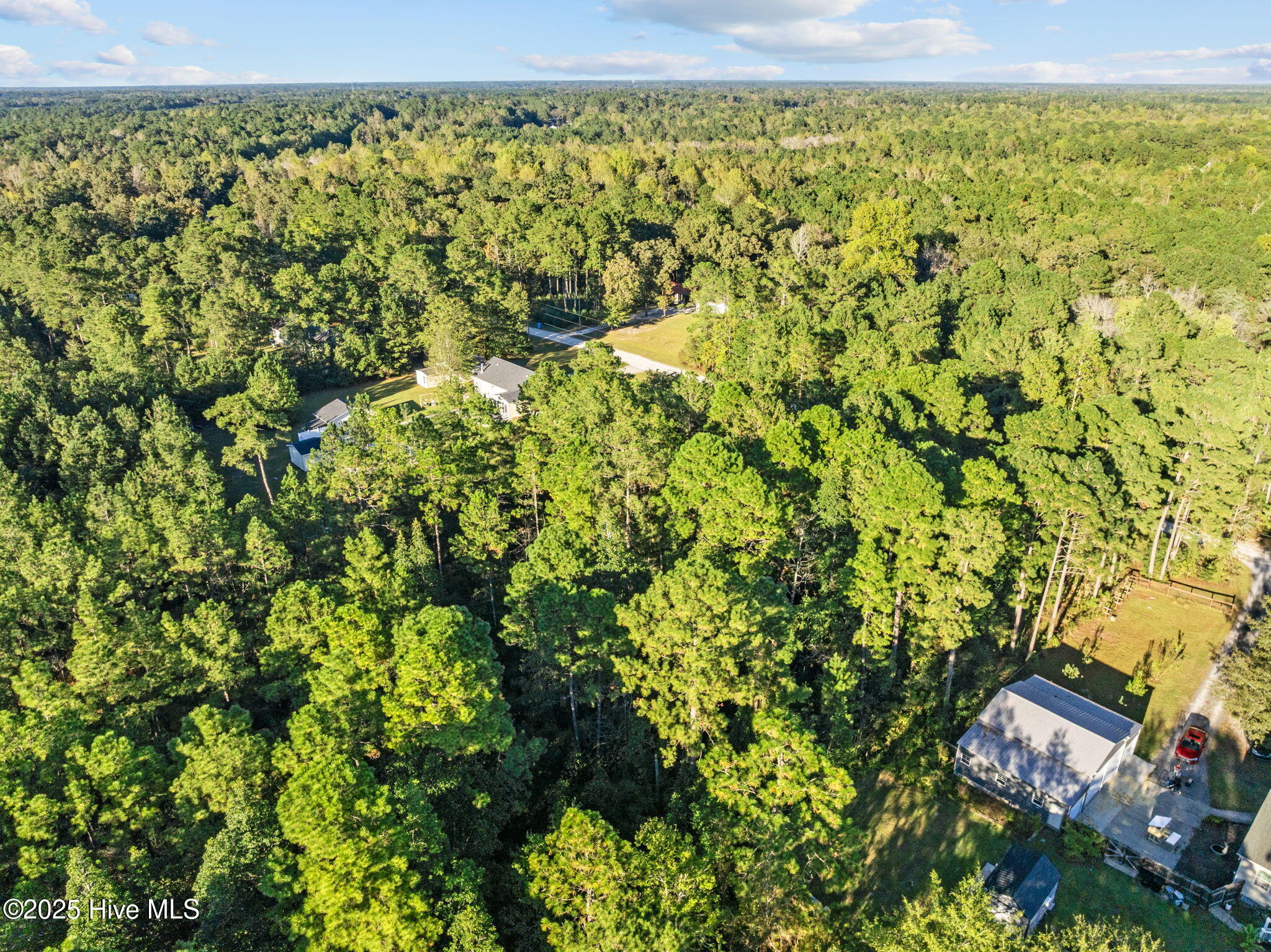 100539156 | Photo 15