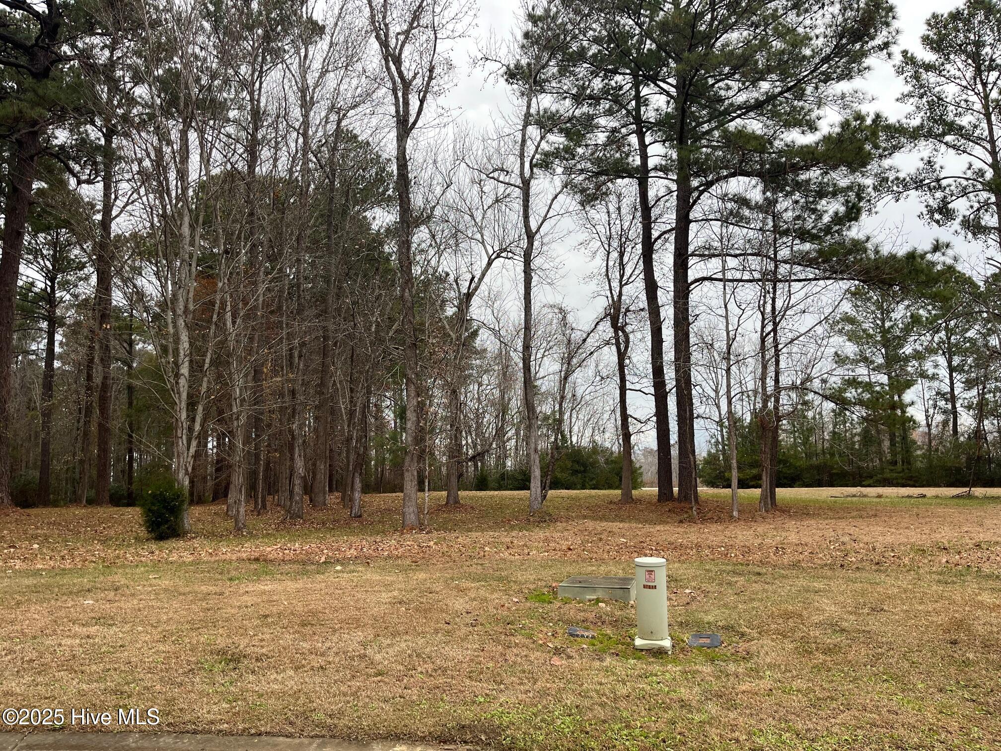 62 114 Currituck Court,Oriental