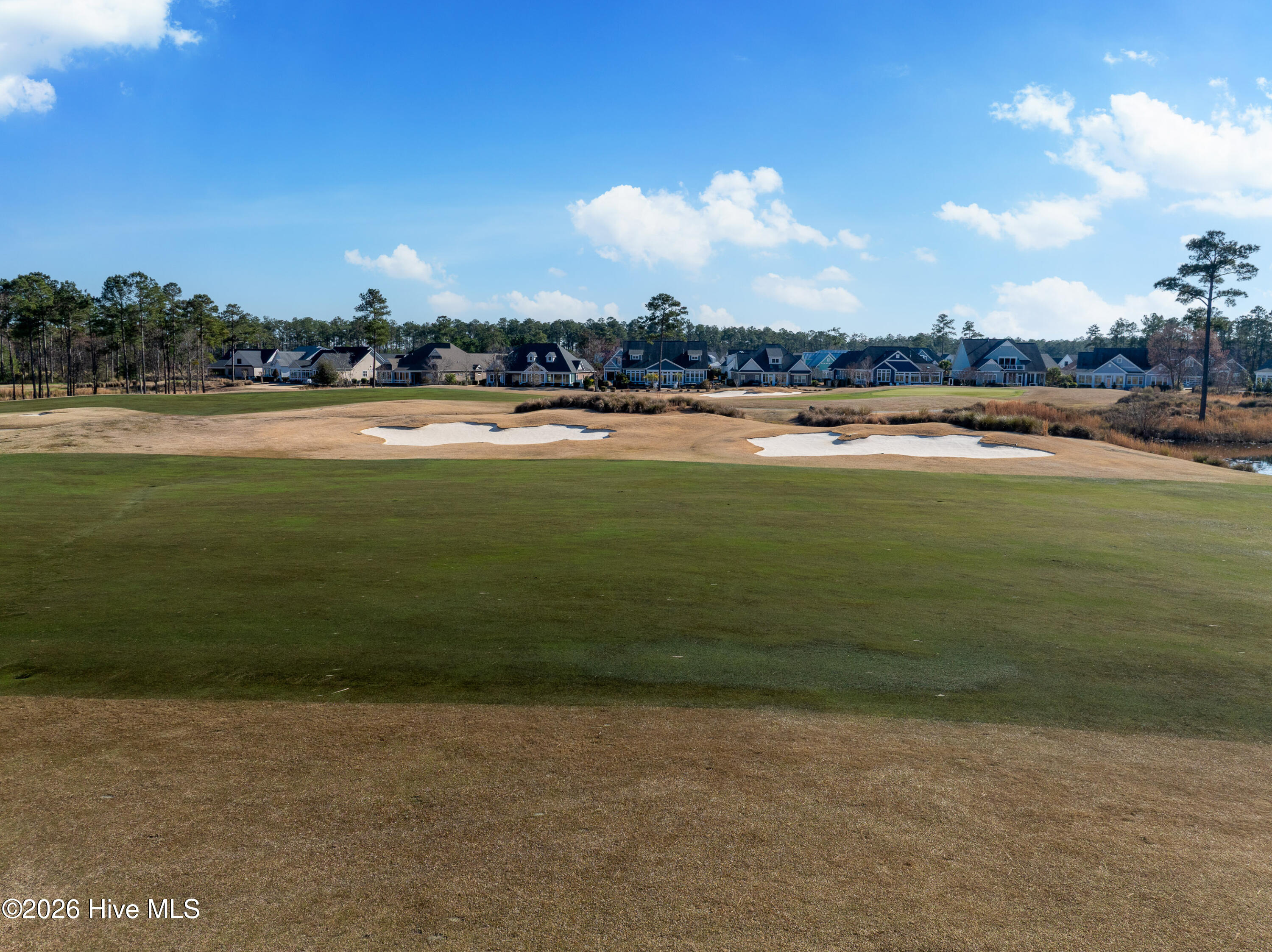 100557146 | Photo 33