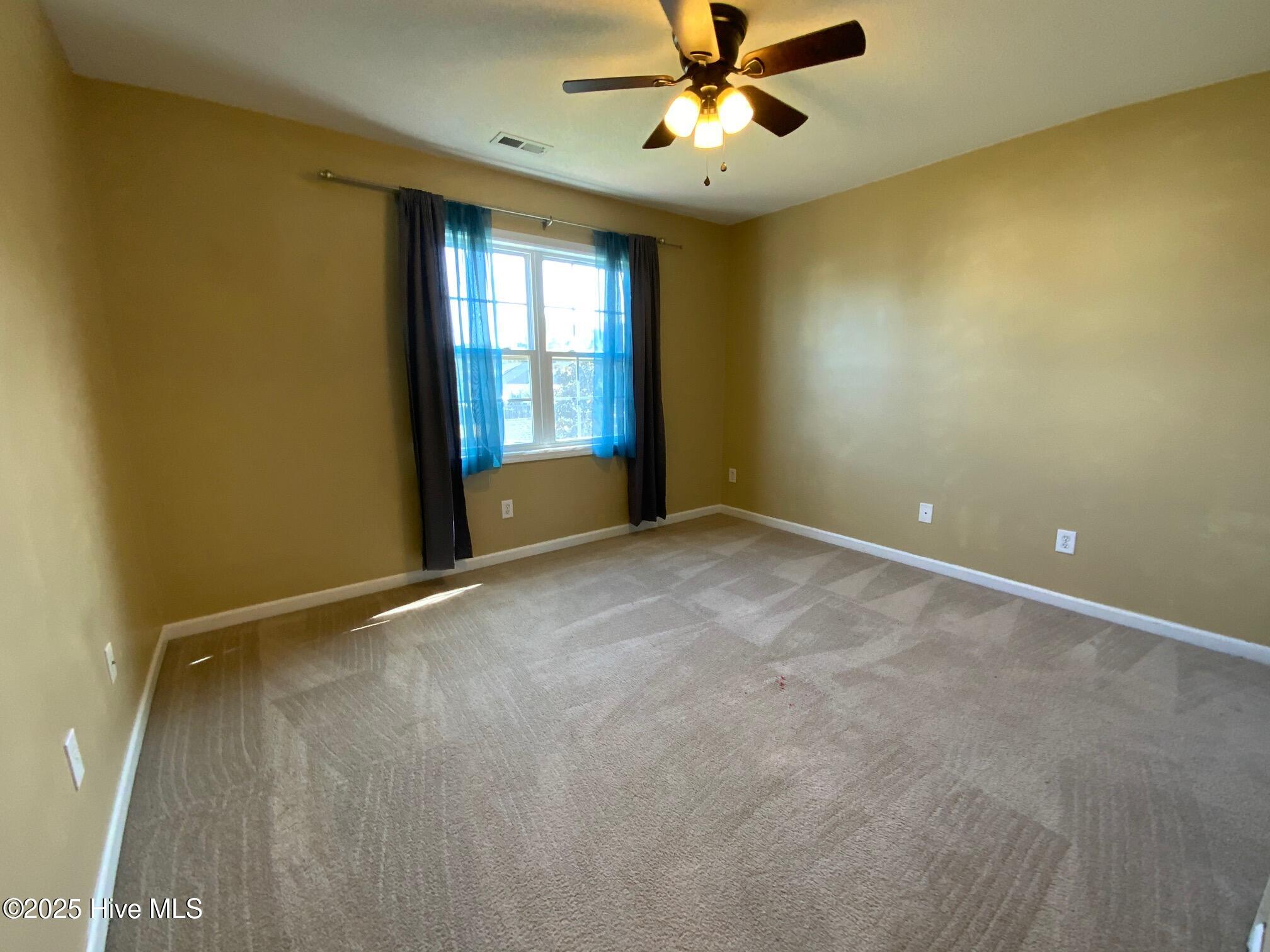 100538569 | Photo 11