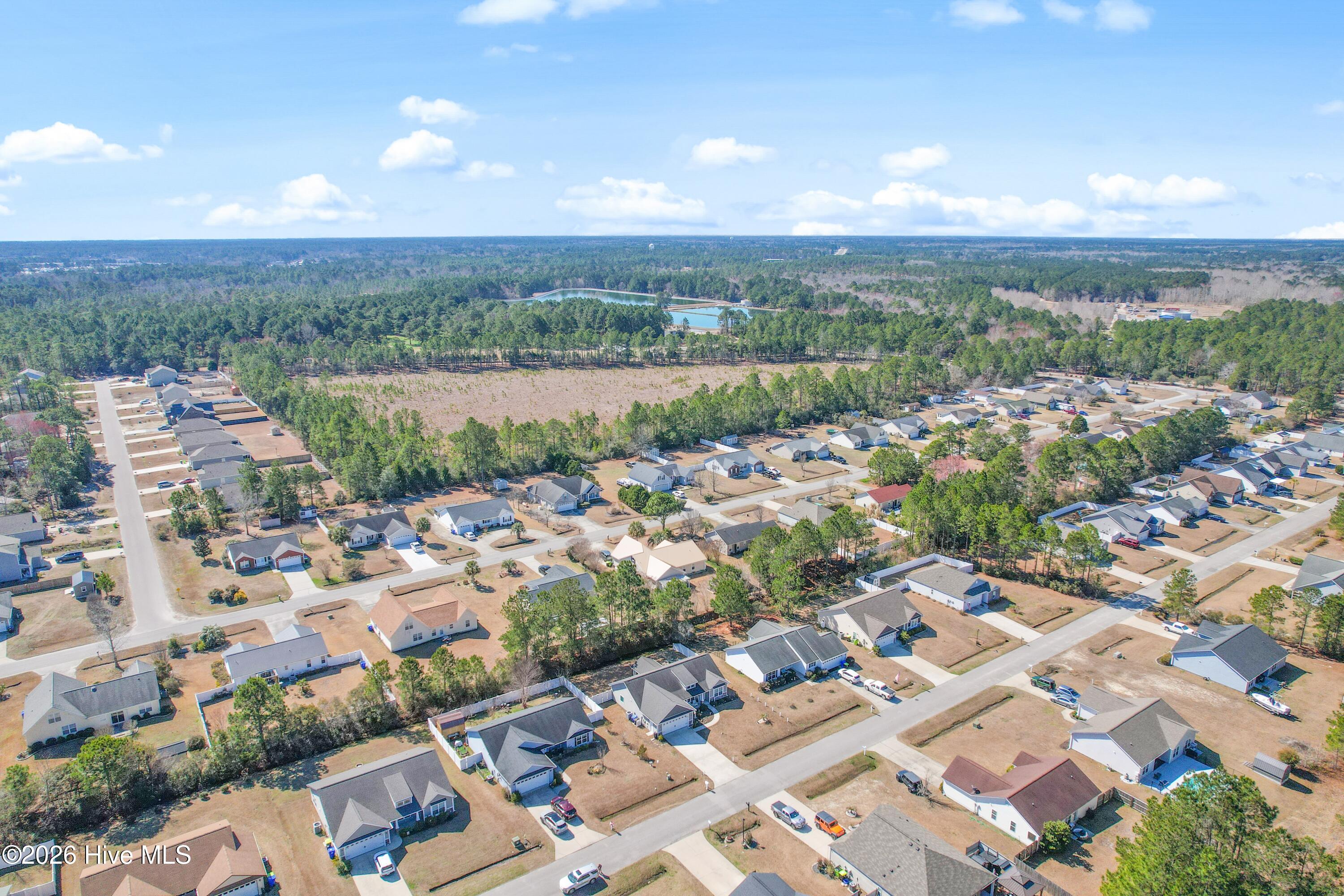 100556546 | Photo 39