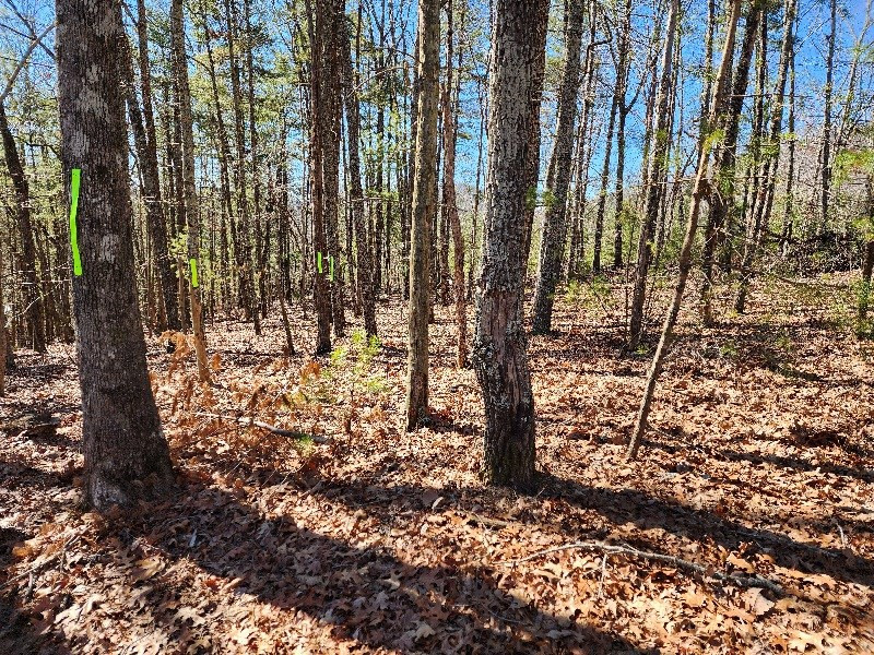 Exterior photo of Lot17 17 Gray Grouse Trail, Murphy, NC 28906. MLS: 98523815